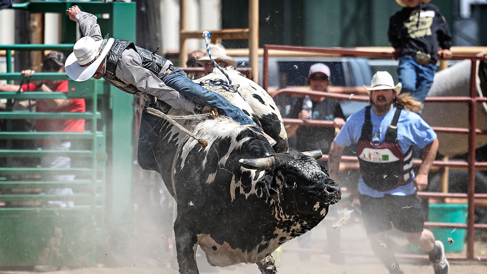 At Brahma Mama's Bucking Bulls Ranch in Worland, people can learn to ride a bull like a real Wyoming cowboy.