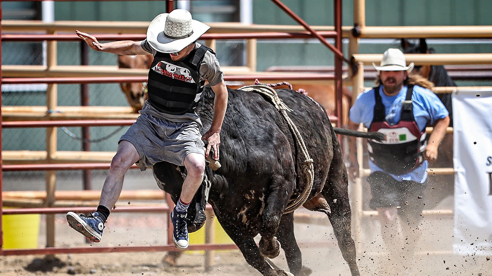 At Brahma Mama's Bucking Bulls Ranch in Worland, people can learn to ride a bull like a real Wyoming cowboy.