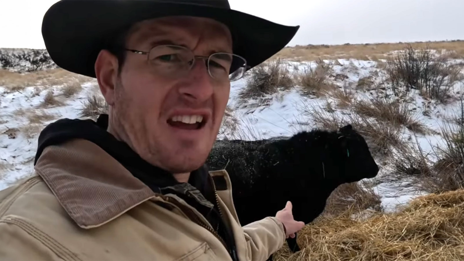 Bull nuts can freeze 1 15 24