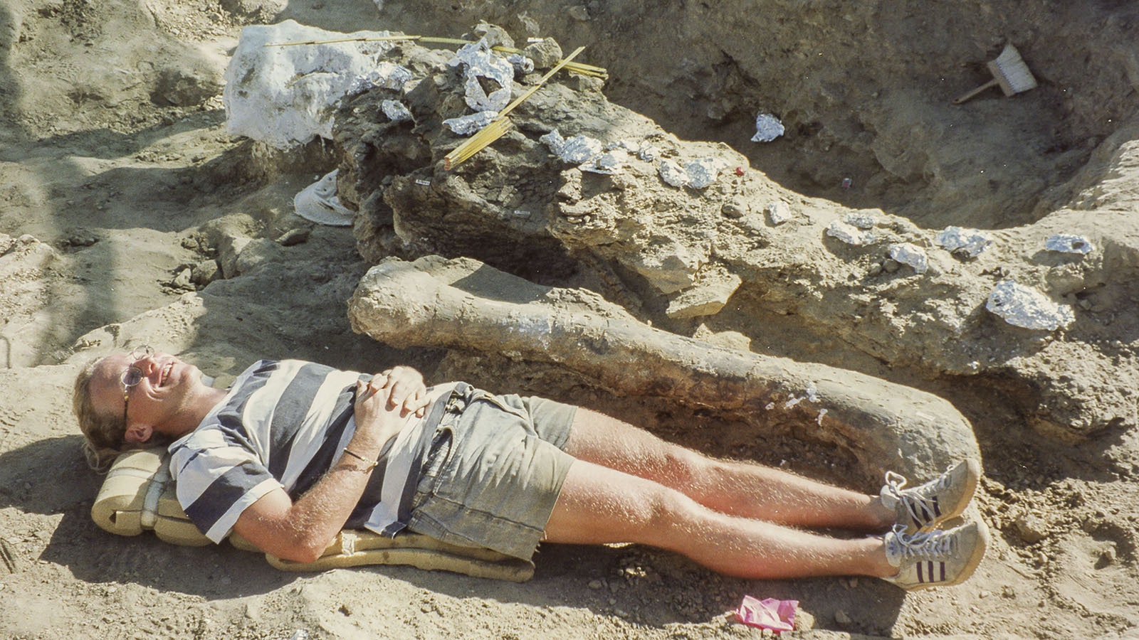 Researchers uncover Aredewtosaurus Viator, a 74-foot-long dinosaur, at a dig site near Shell, Wyoming, in the early 1990s.