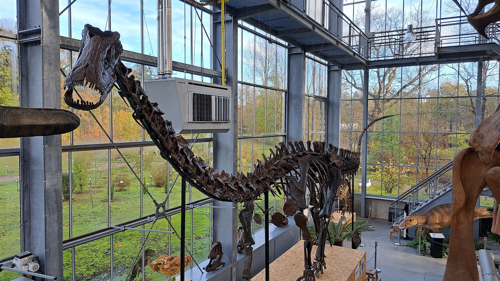 After it was dug up near Shell, Wyoming, in the early 1990s, Ardetosaurus viator, a 74-foot-long dinosaur, survived a fire at a German museum before finally being revealed as a new species.