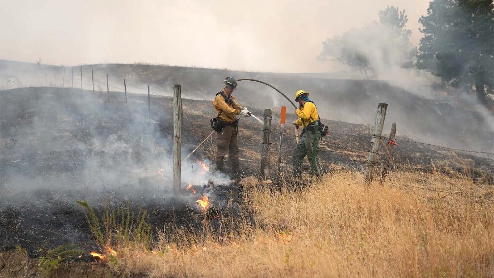 Ranchers throughout Wyoming and Nebraska are rallying to rush emergency hay to those impacted by wildfires tearing through critical cattle grazing lands. The University of Wyoming has launched an online effort to connect donated hay with ranchers.
