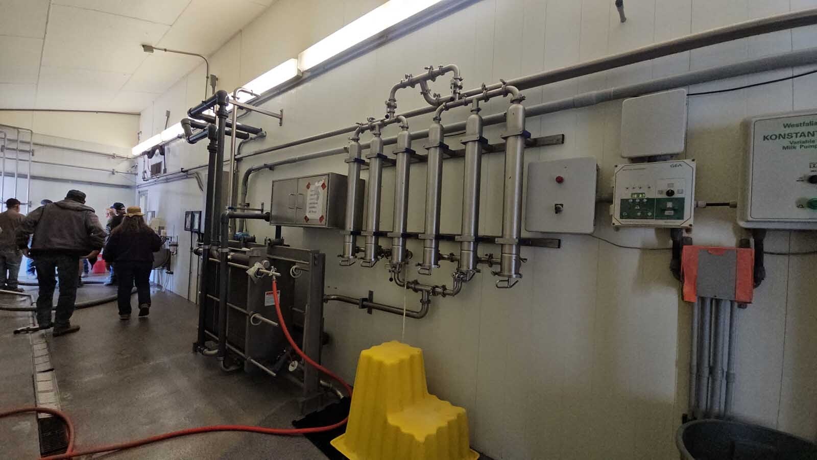 Milk flows from the carousel into a chiller, going from 100 degrees to refrigerator cold in seconds.