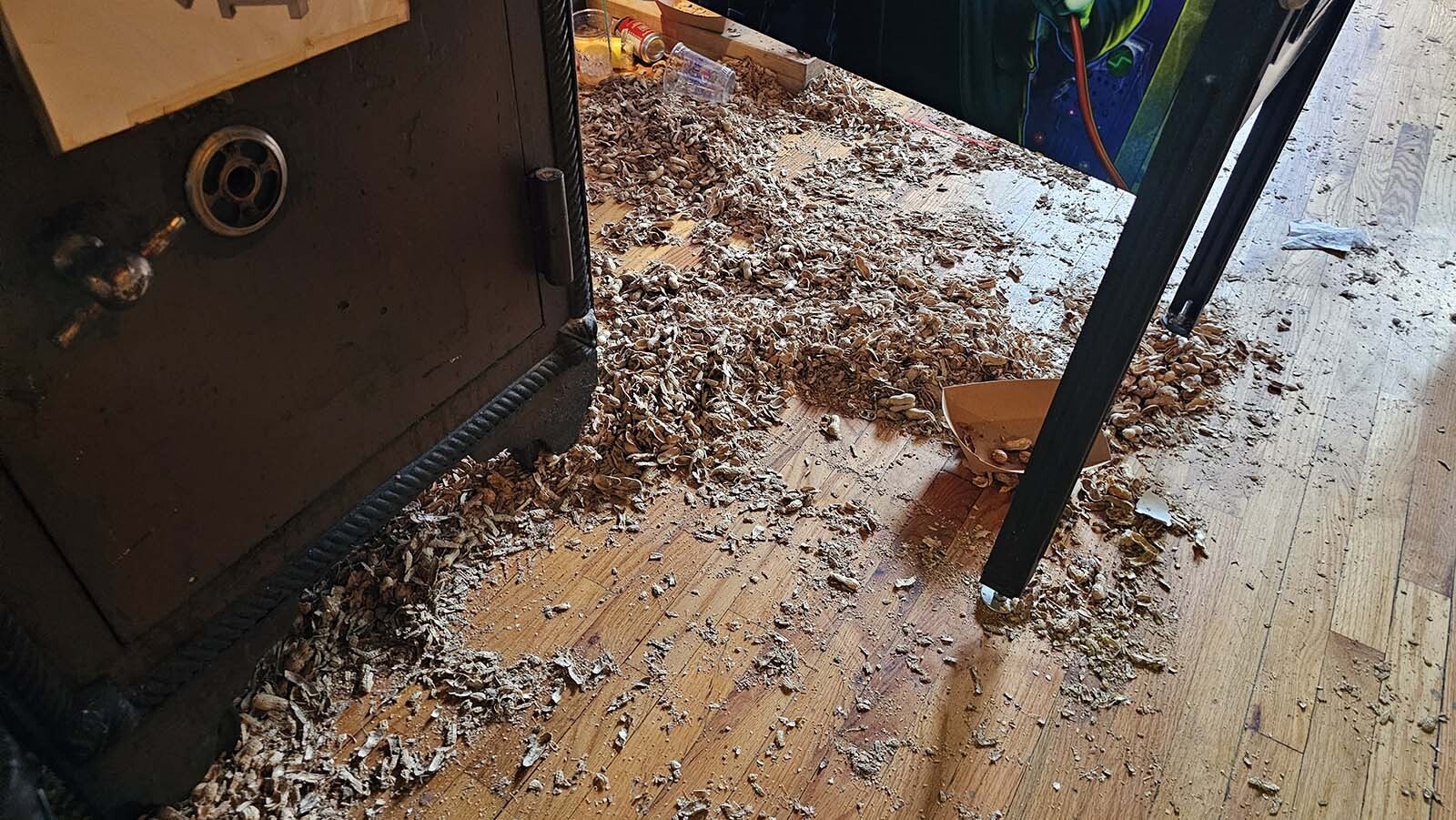 Patrons of the Dime Horseshoe Bar are encouraged to throw their peanut shells on the floor during the Sturgis Motorcycle Rally week, to help condition the floors.