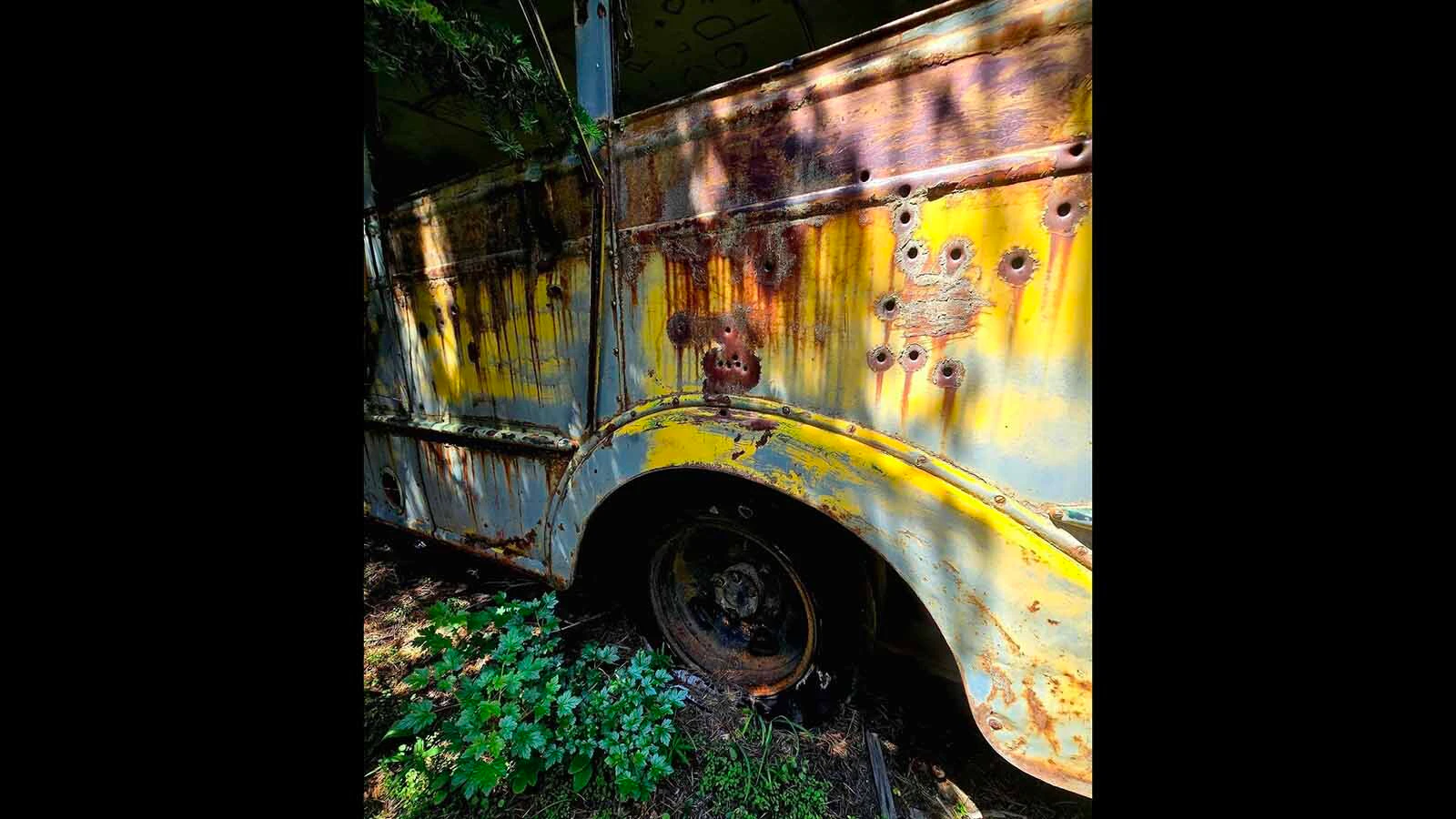 Bus in Bighorns 764807074 3135085956690681 2848763080142861238 n 8 30 26