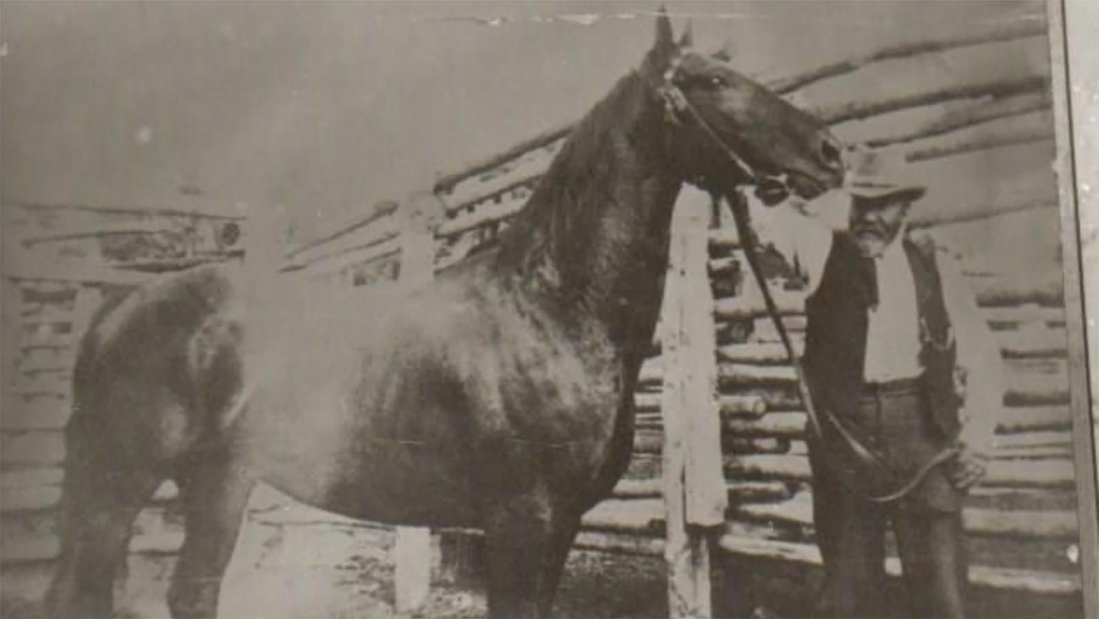 Jacob Price's brother Jack was accused by Jacob Snyder and Butch Cassidy of stealing their cattle and horses. To avoid charges, Jack sold the stolen cattle to Jacob and the case was dropped. They then accused both Cassidy and Snyder of stealing Embar stock and their charges were successful, resulting in jail time fro both young men.