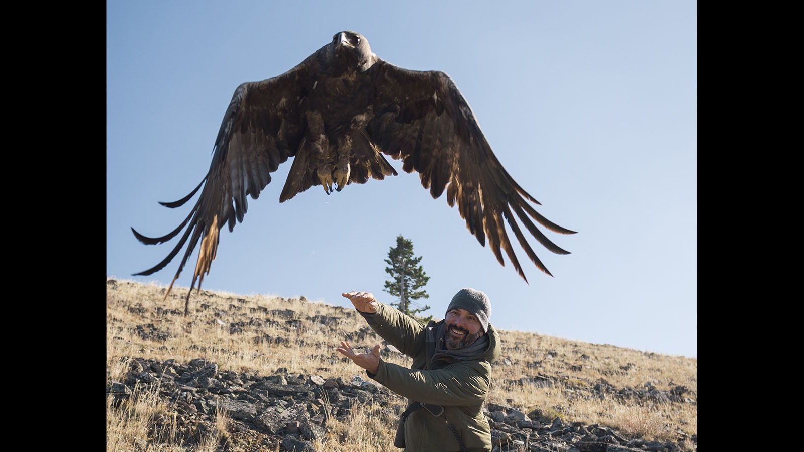 Bryan Bedrosian, the conservation director for the Teton Raptor Center, wants to do all he can to help Wyoming’s golden eagle population.