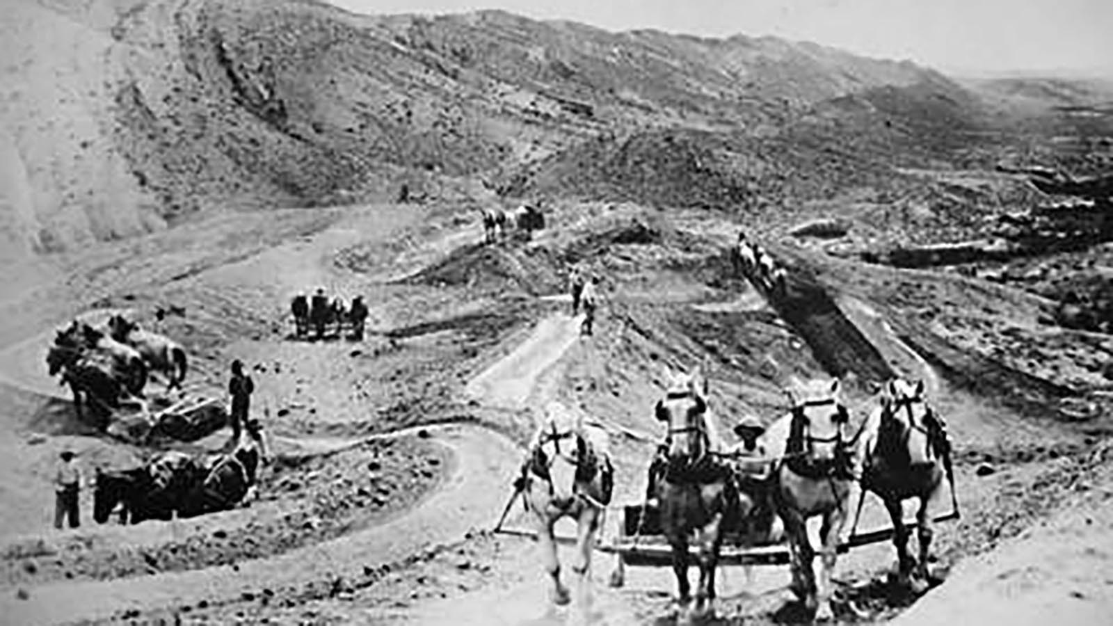 Horse teams pull scrapers to build the Sidon Canal, a 37-mile ditch completed in 1904 that still delivers irrigation water from the Shoshone River to farms near Byron and Cowley, Wyoming.