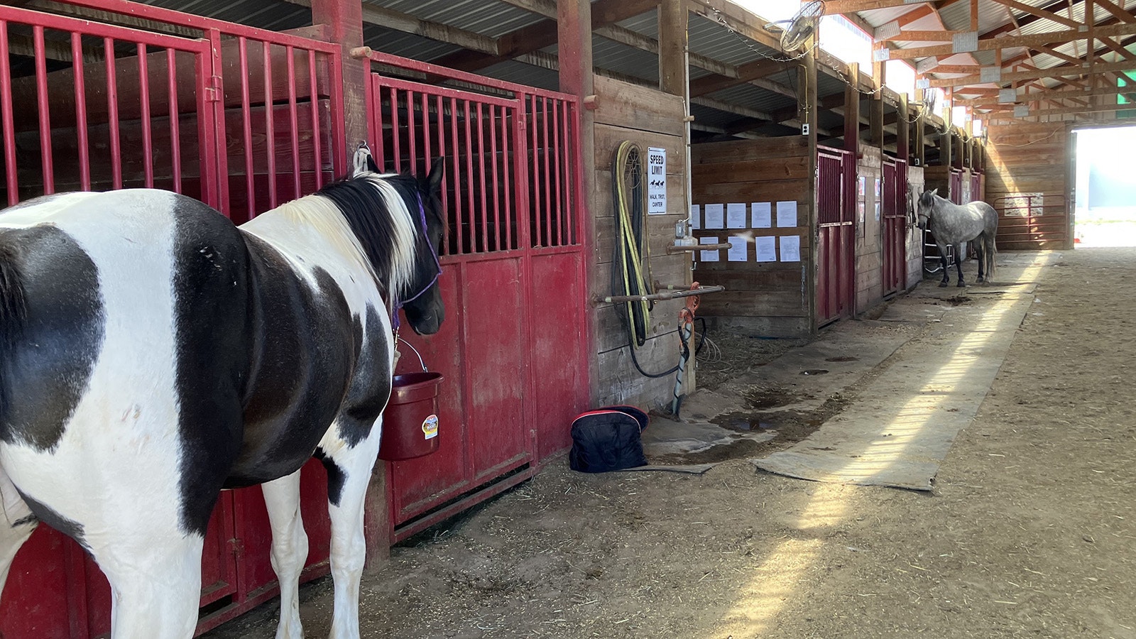 Inside the horse barn are several stalls for horses as well as rooms for tack and equipment.