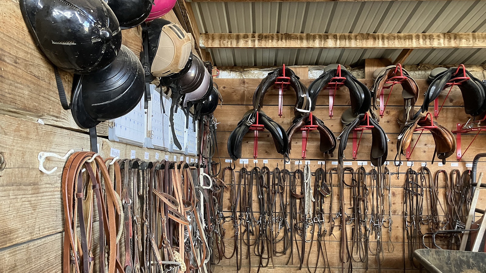 Rows of tack in the horse barn are labeled for all the horses who are part of the riding operation.