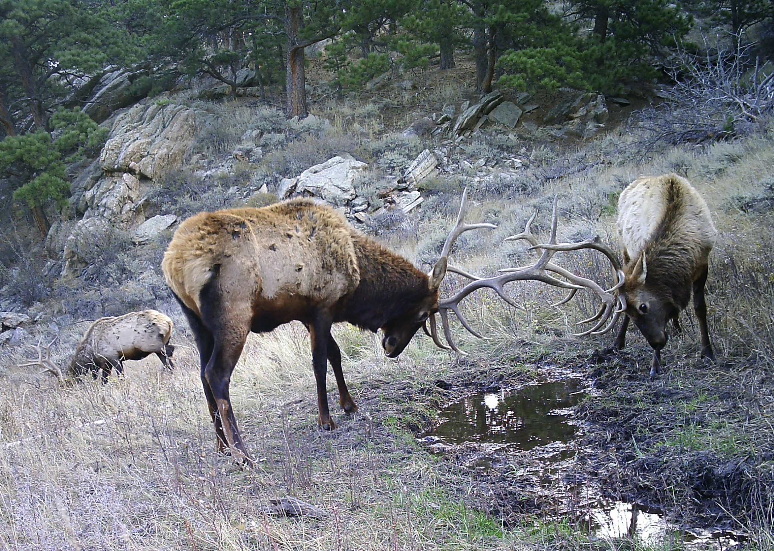 CB4 F1084 B231 4 C30 9 D53 FDB4360576 FC scaled