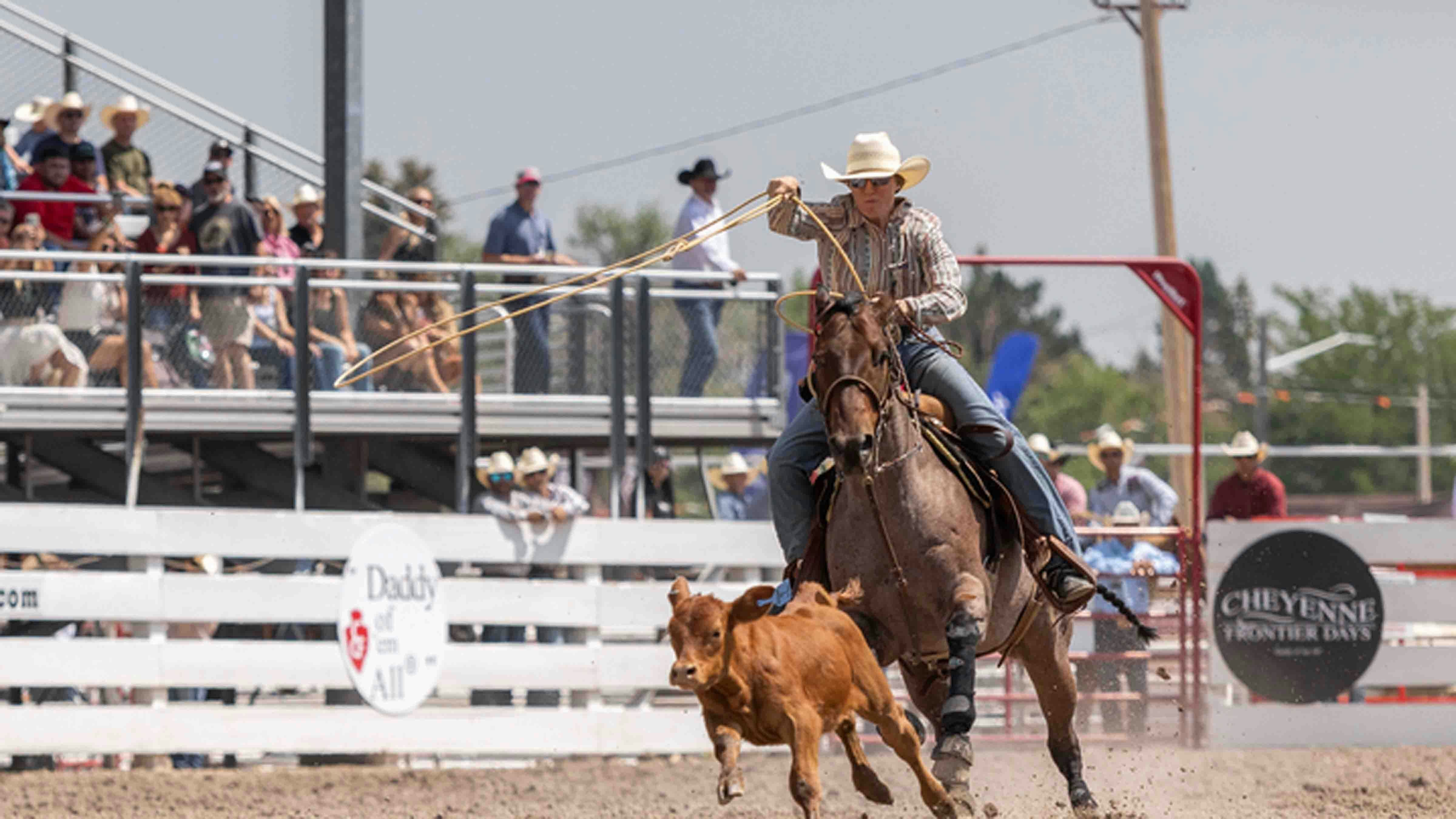 Jordan McNamee from Laramie, WY ropes her calf in 6.7 seconds in the breakaway roping on Championship Sunday to place sixth at Cheyenne Frontier Days on July 28, 2024.