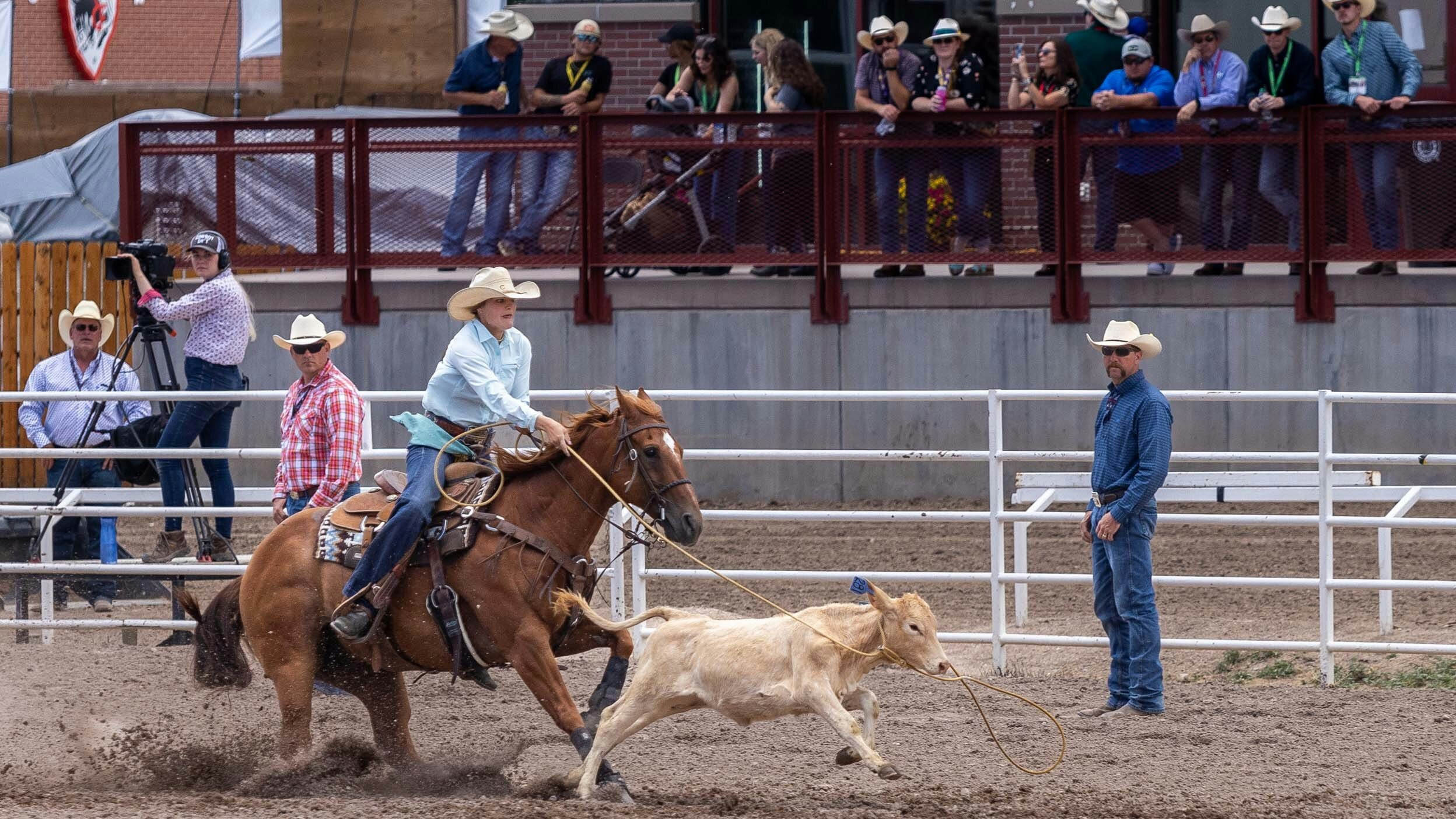 Brandy Schaack from Chadron, NE ropes her calf in 4.4 seconds to have the 4th fastest time on Championship Sunday at Cheyenne Frontier Days on July 30, 2023.