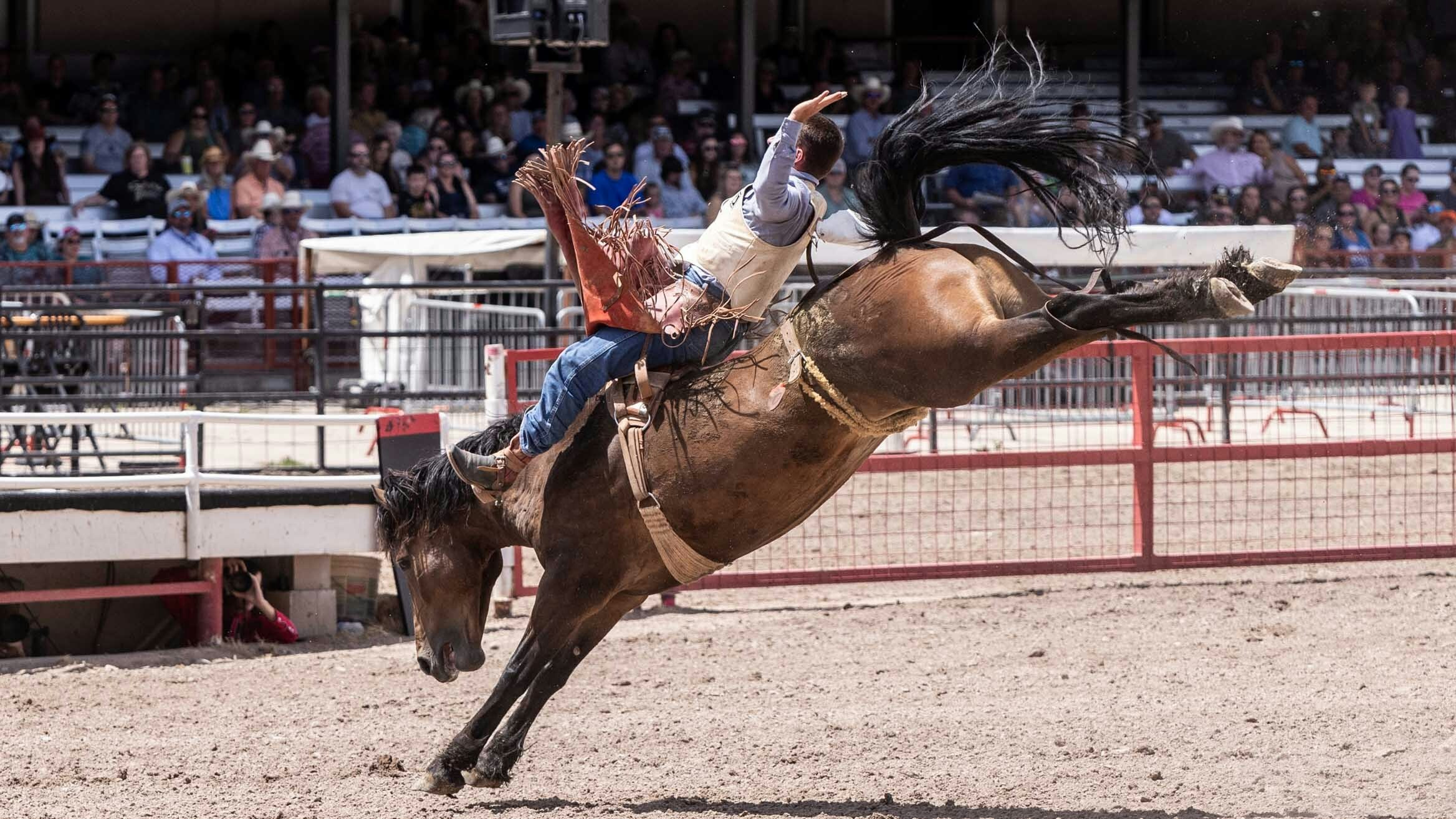 Bill Tutor from Huntsville, TX rides his horse for a score of 85 in the bareback riding at Cheyenne Frontier Days on July 25, 2023.