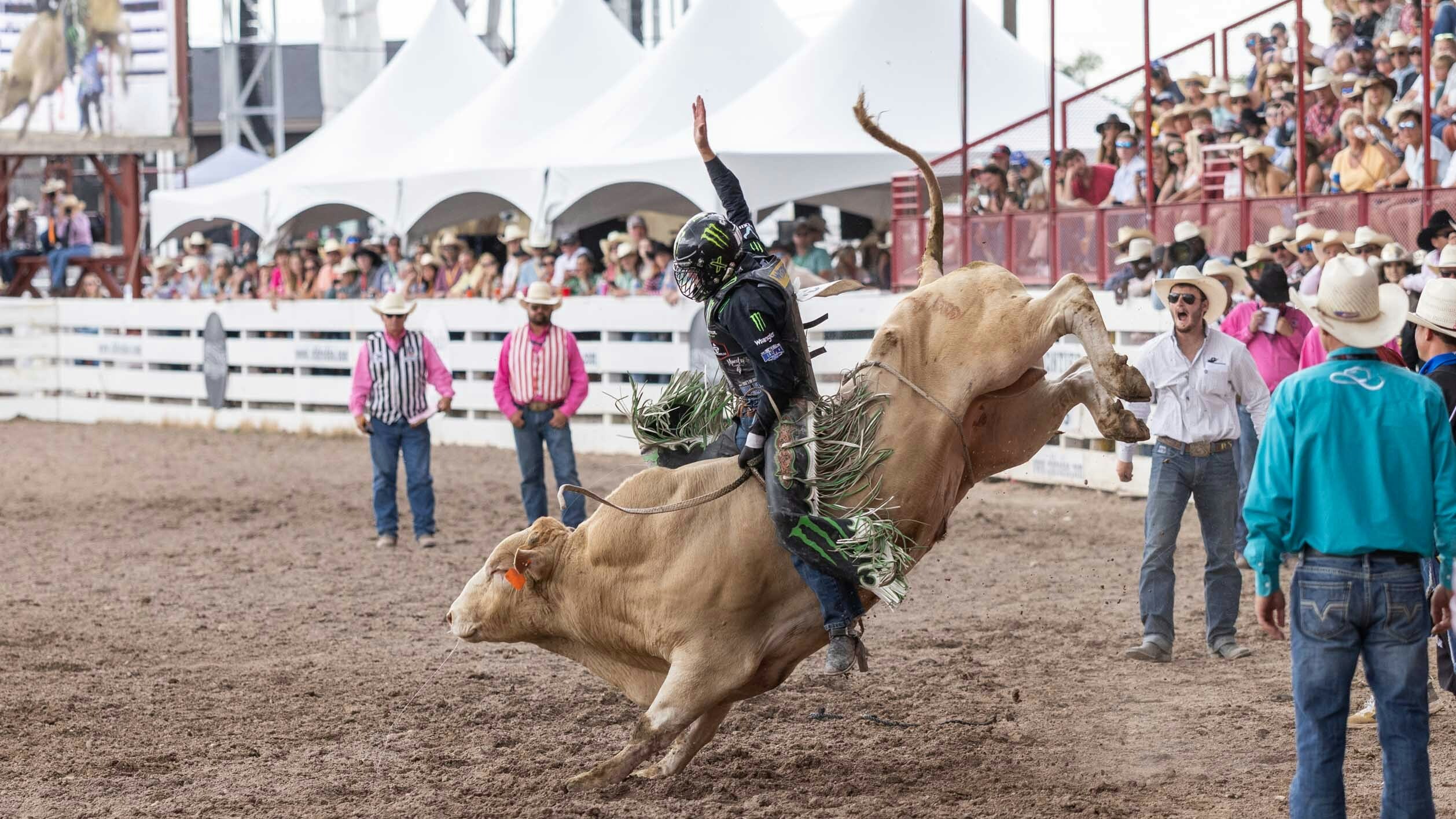 Boudreaux Campbell from Crockett, Texas rides his bull for a score of 90 points at Cheyenne Frontier Days on July 27, 2023.