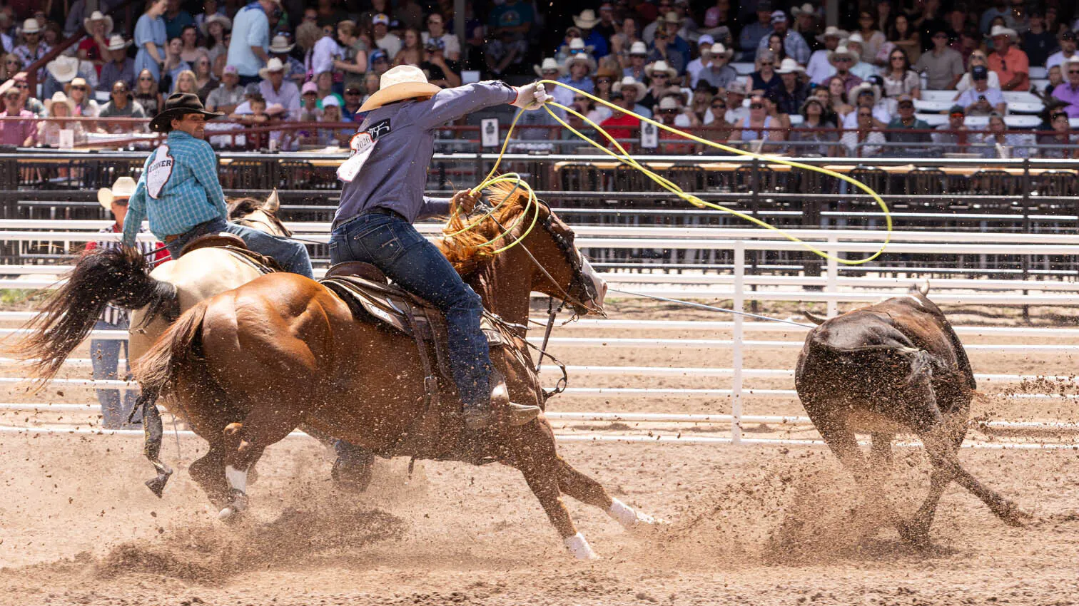 Corben Culley from Lawton, IA and Calgary Smith from Adams, OR in the team roping at the rodeo at Cheyenne Frontier Days on Friday, July 24.
