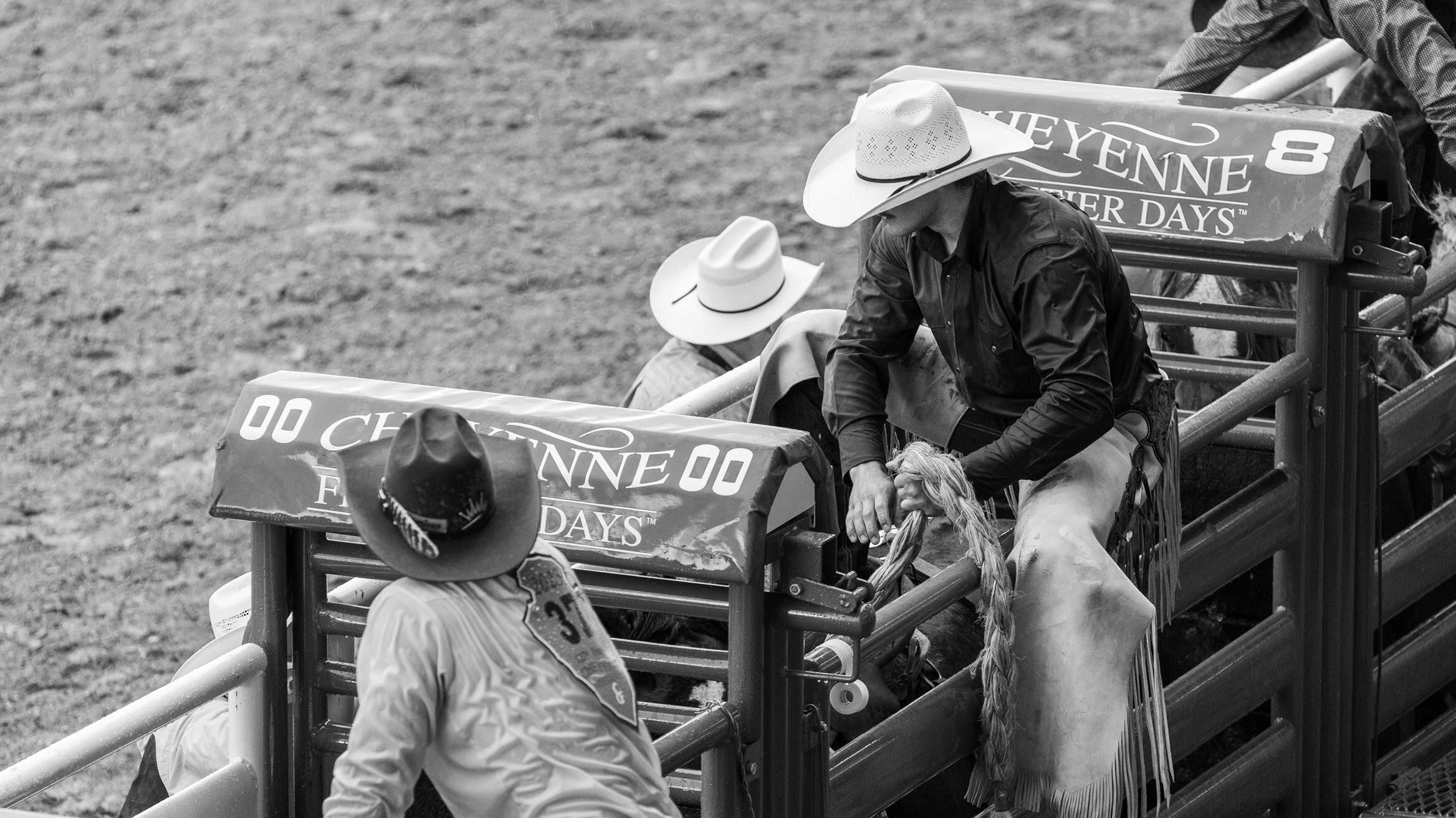 Rookie Saddle Bronc riders get ready to ride their broncs at Cheyenne Frontier Days on July 26, 2023.