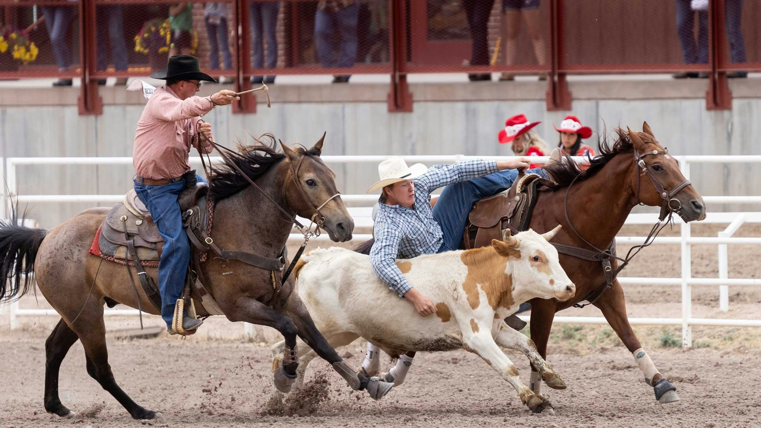 Emmett Elder from State Center, Iowa steer wrestles at Cheyenne Frontier Days on July 23, 2023.