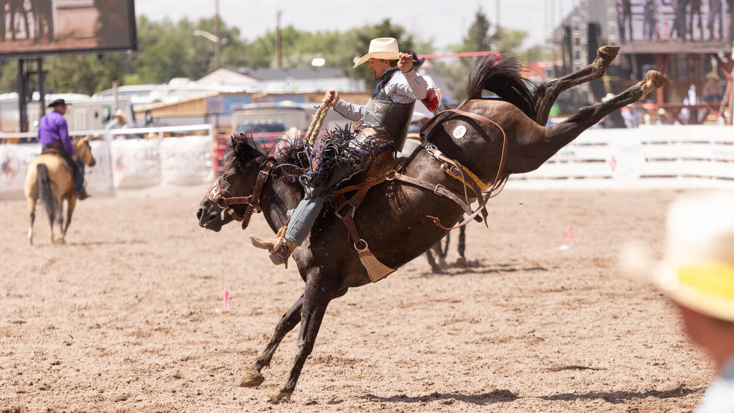 Caleb Miller from Welsh, LA in the rookie bronc riding at the rodeo at Cheyenne Frontier Days on Friday, July 24.
