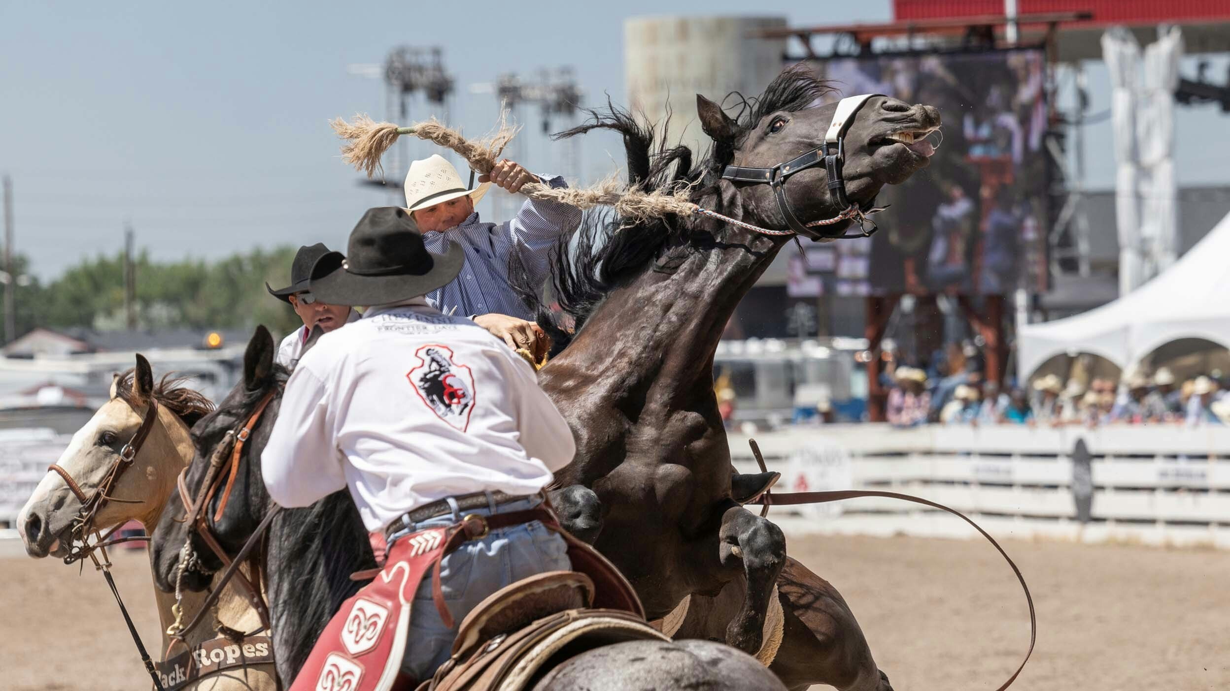 Chris Williams from Greybull, WY hangs onto his saddle as his horse rares up after his 8 second ride in the Saddle Bronc Riding at Cheyenne Frontier Days on July 29, 2023.