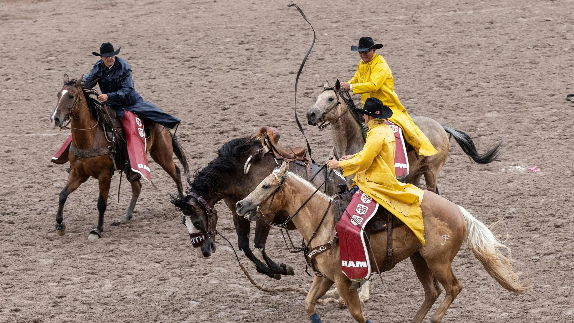 Pickup men run to a saddle bronc horse to release the flank strap during the Rookie Bronc Riding at Cheyenne Frontier Days on July 26, 2023.