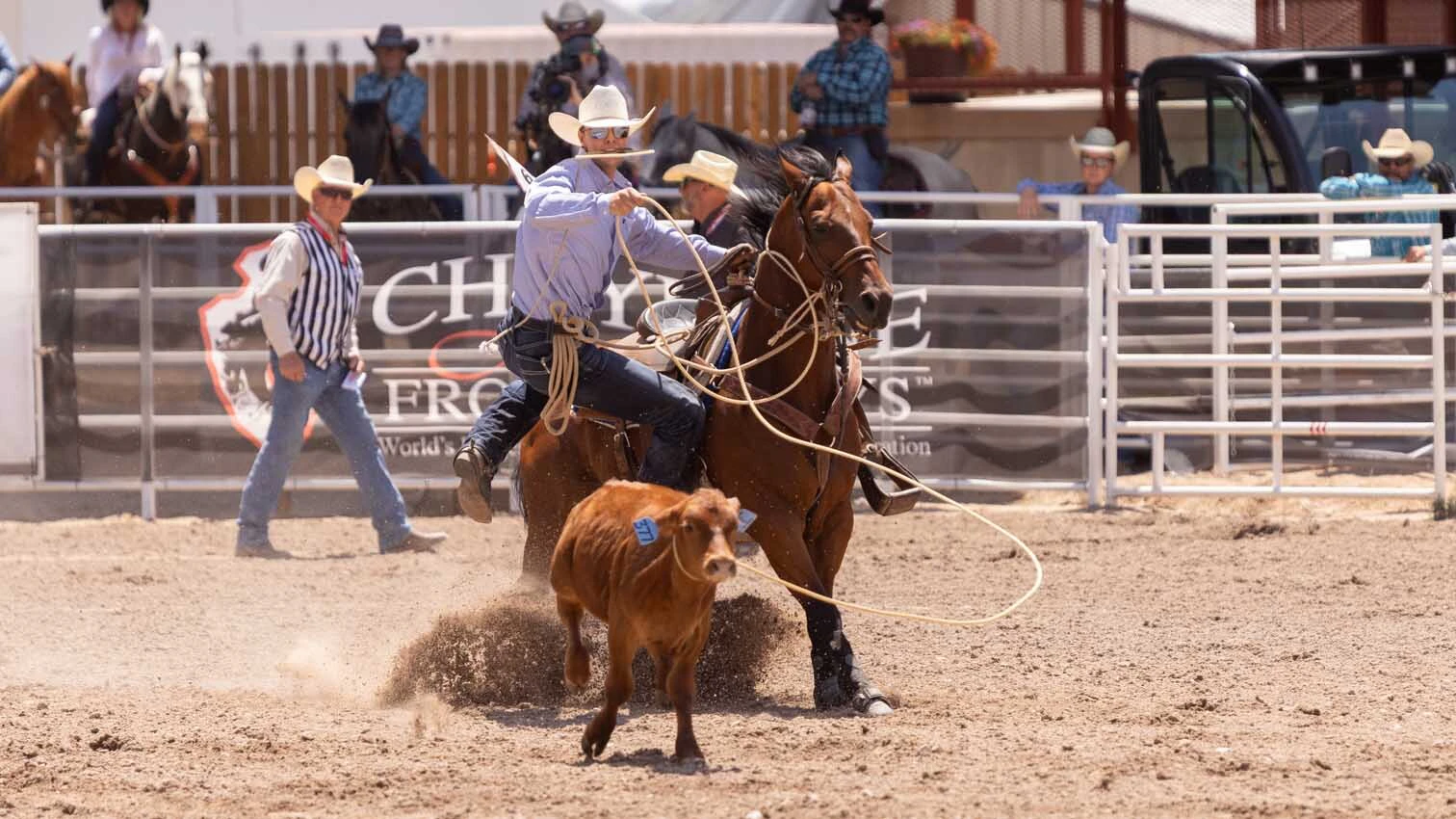 Tate Talkington from Scottsbluff, NE, in the tie-down roping at Cheyenne Frontier Days on July 25.