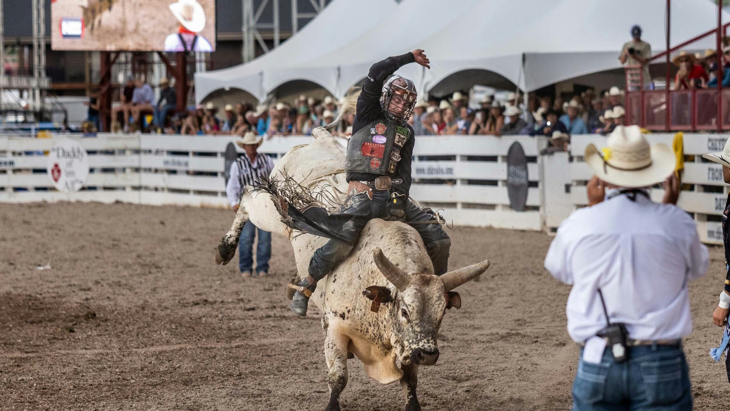 Parker Breding from Edgar, MT scores 86.50 points at Championship Sunday at Cheyenne Frontier Days on July 30, 2023.