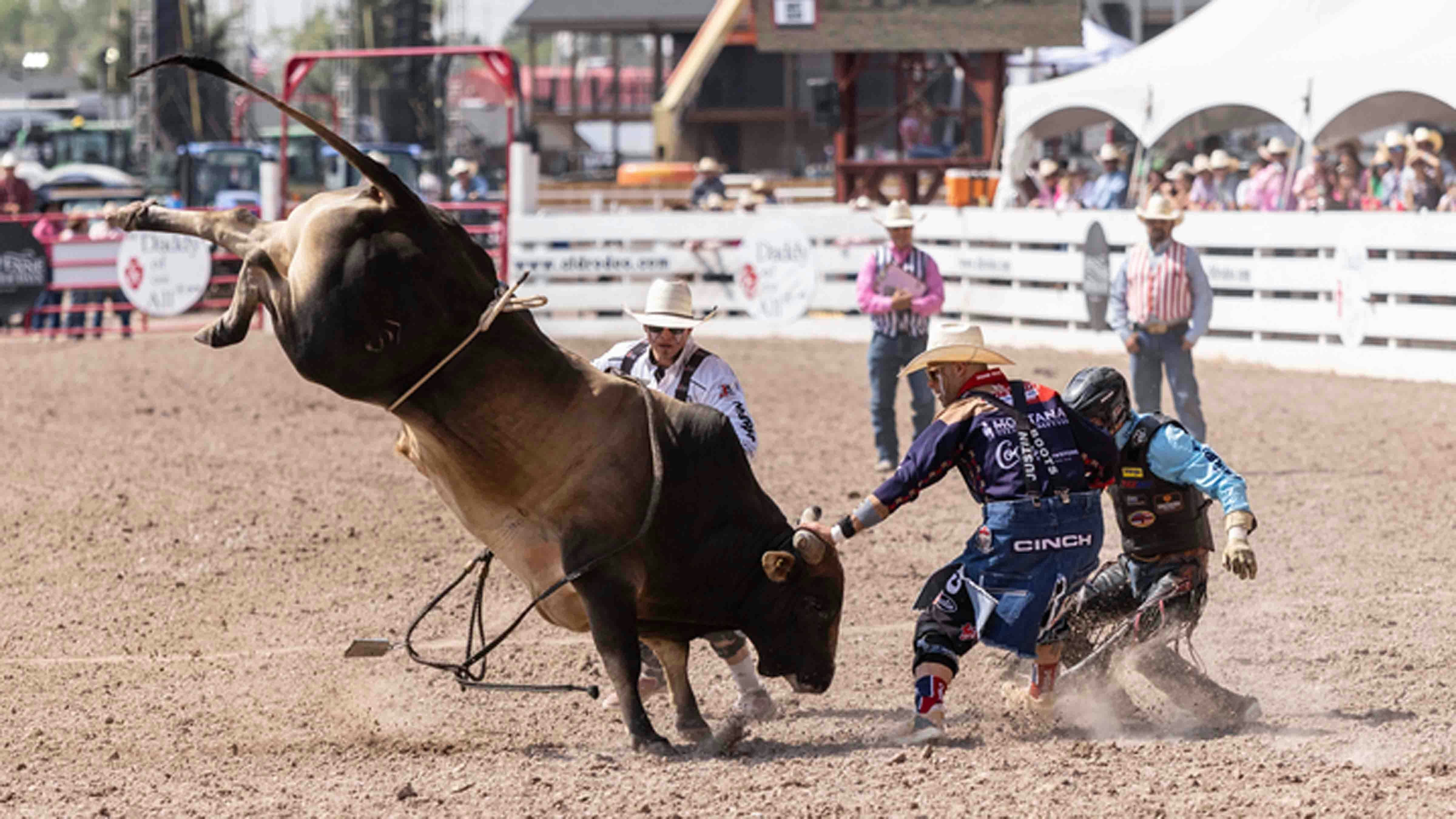 Bullfighters Dusty Tuckness and Cody Webster jump into protect a bull rider at the rodeo at Cheyenne Frontier Days on July 25, 2024