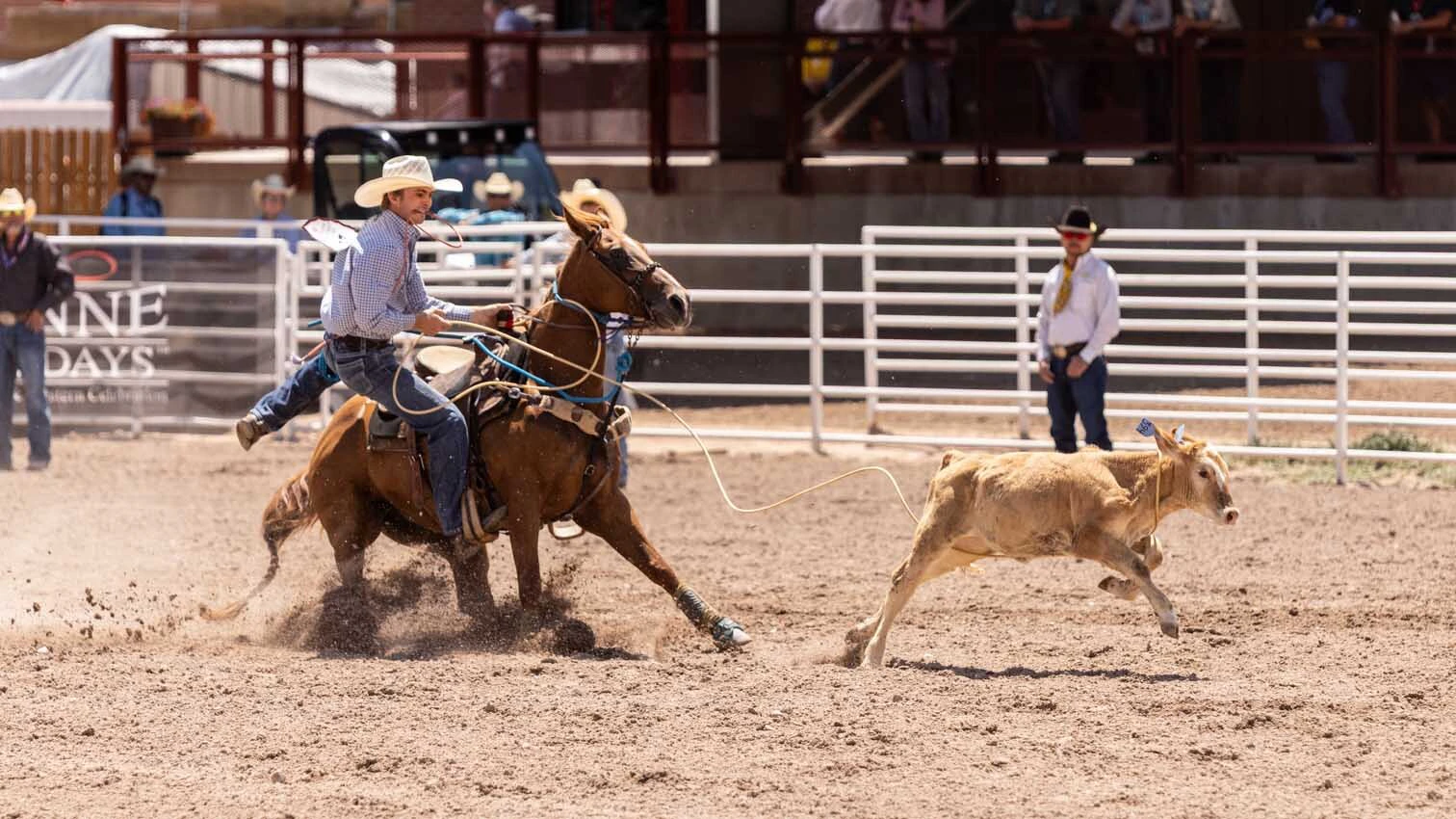 Jett Barrett from Lipan, TX, in the tie-down roping at Cheyenne Frontier Days on July 25. 