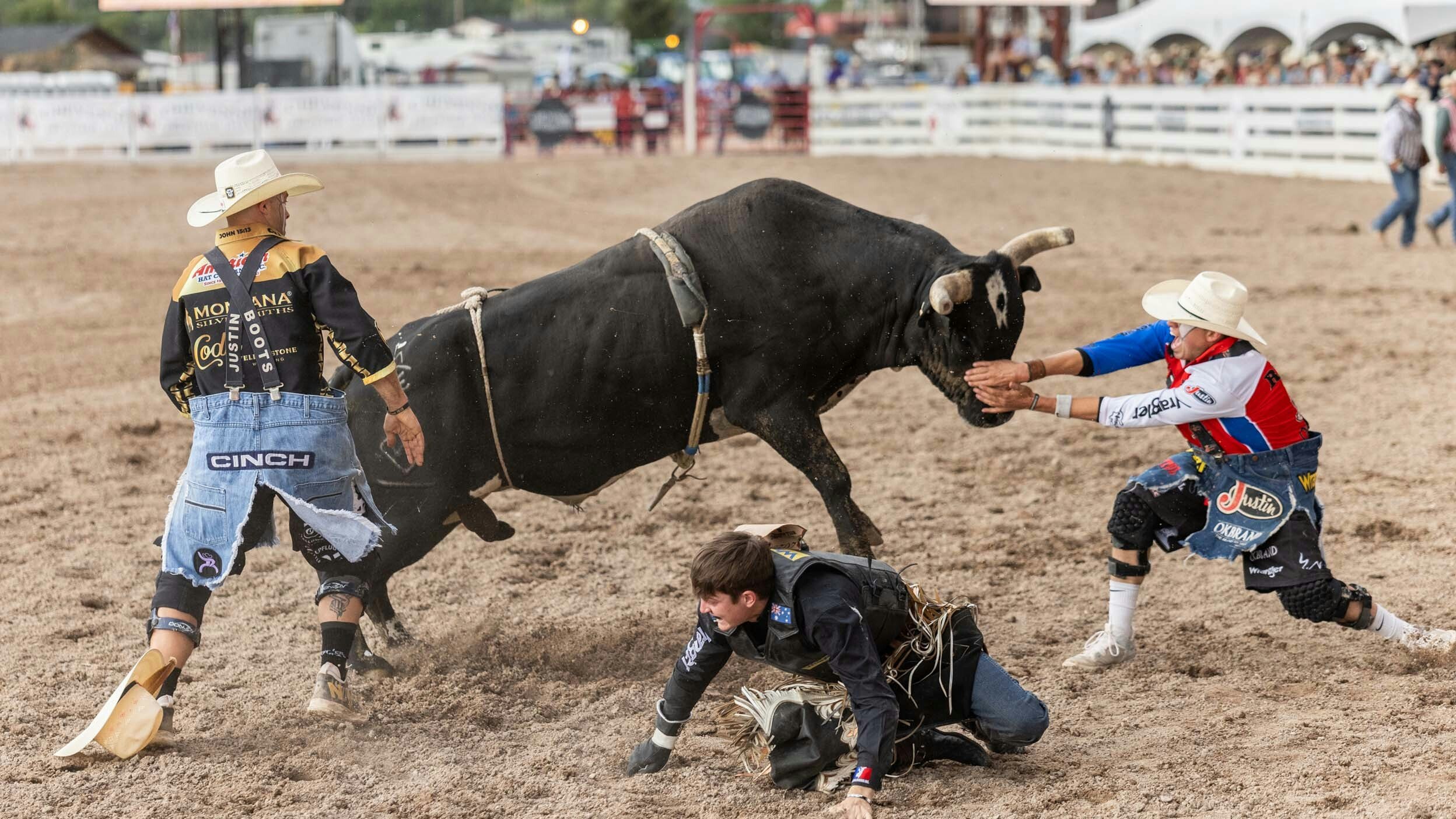 Bull Fighters Dusty Tuckness and Cody Webster jump in to save a bull rider at Cheyenne Frontier Days on July 30, 2023.