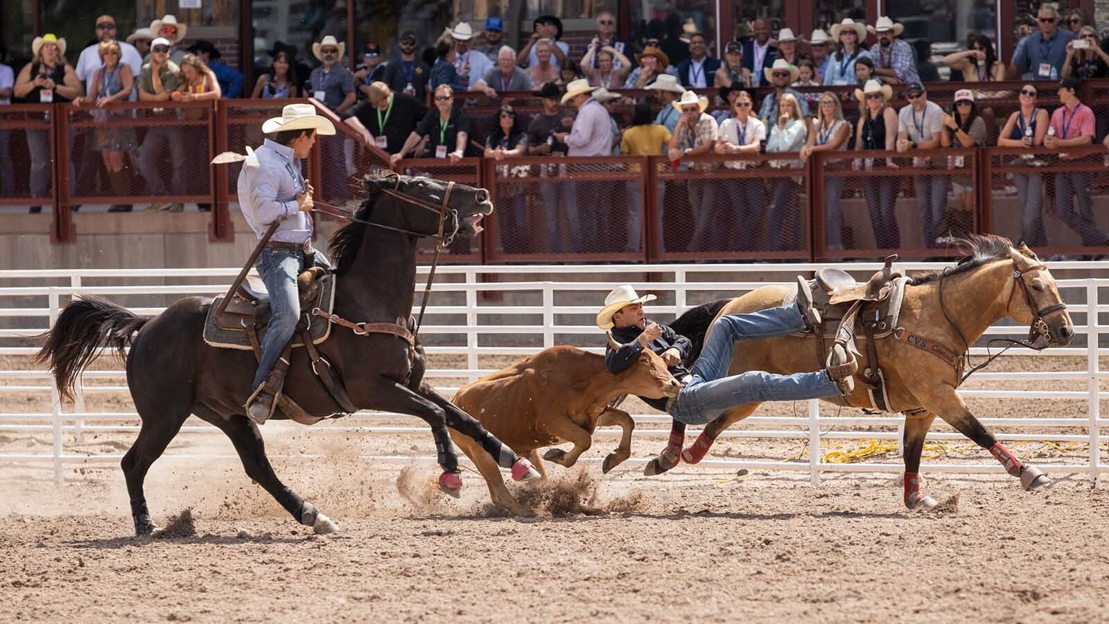 A proposed New York City law pushed by animal rights groups would ban calf roping, flanks, and electric prods — effectively banning all rodeo in the city. Misinformation that promotes anti-rodeo laws threatens the sport, Wyoming rodeo defenders say. Rodeo is a big part of Wyoming's cowboy culture, including the Cheyenne Frontier Days Rodeo, knowns as the "Daddy of 'em All" and the largest outdoor rodeo in the world.