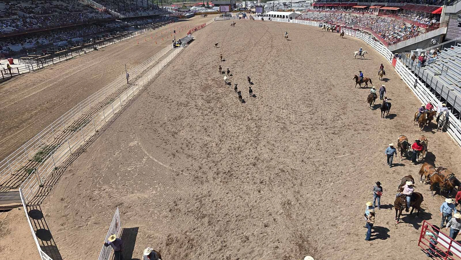 The action feels closer, even from the third floor, thanks to the unobstructed views as well as sound wired directly into Cheyenne Frontier Days' new skyboxes above Chute 9.