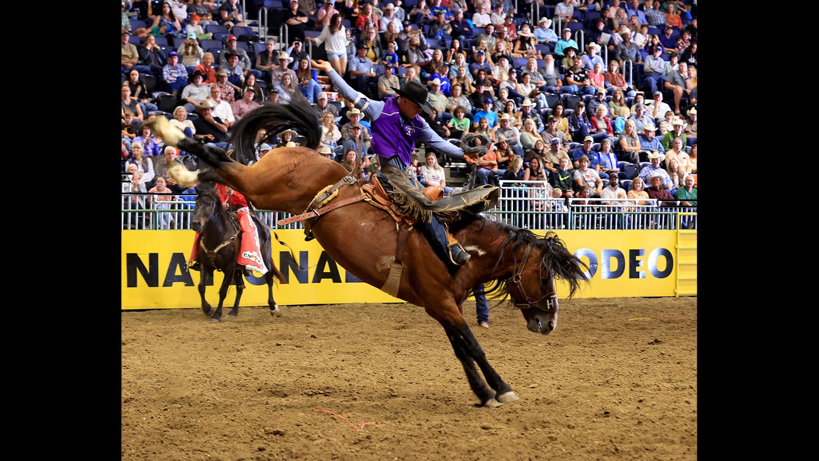 Wyoming native Ira Dickinson competes at the College National Finals Rodeo for Tarleton State University. He's riding Vold Rodeo Co. horse Painted Fling to an 84.5 ride during. The score put him at the top of the saddle bronc competition early in the week.