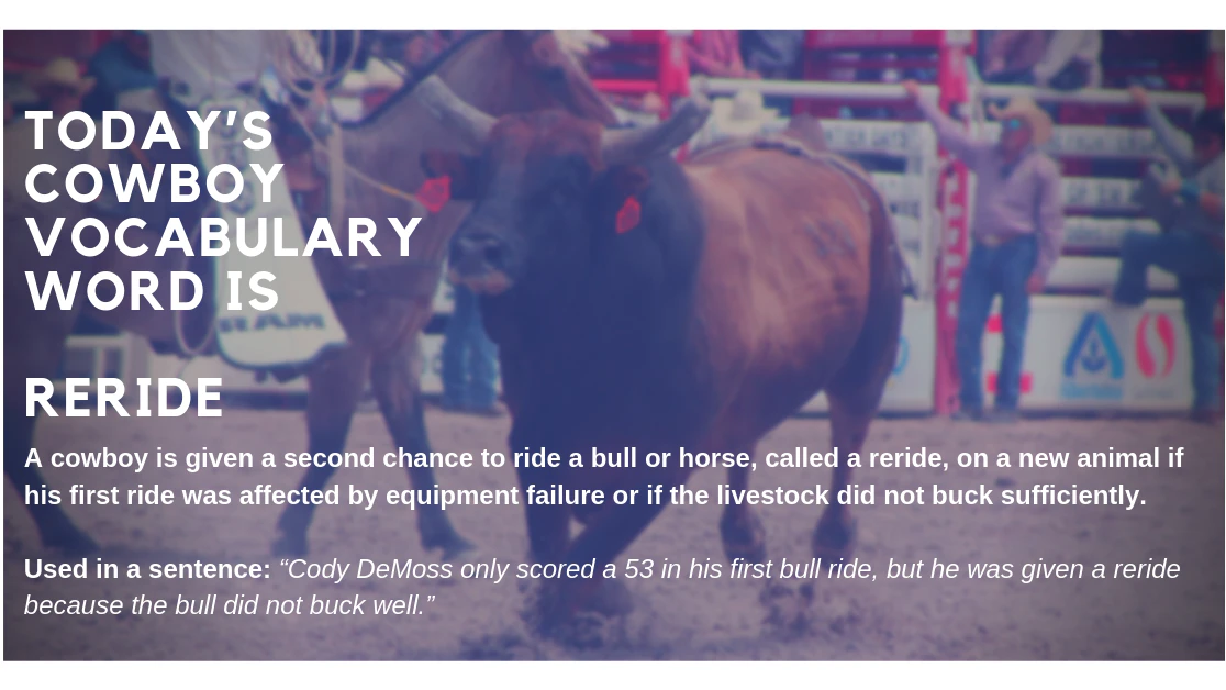CSD Cowboy Vocabulary Reride 1
