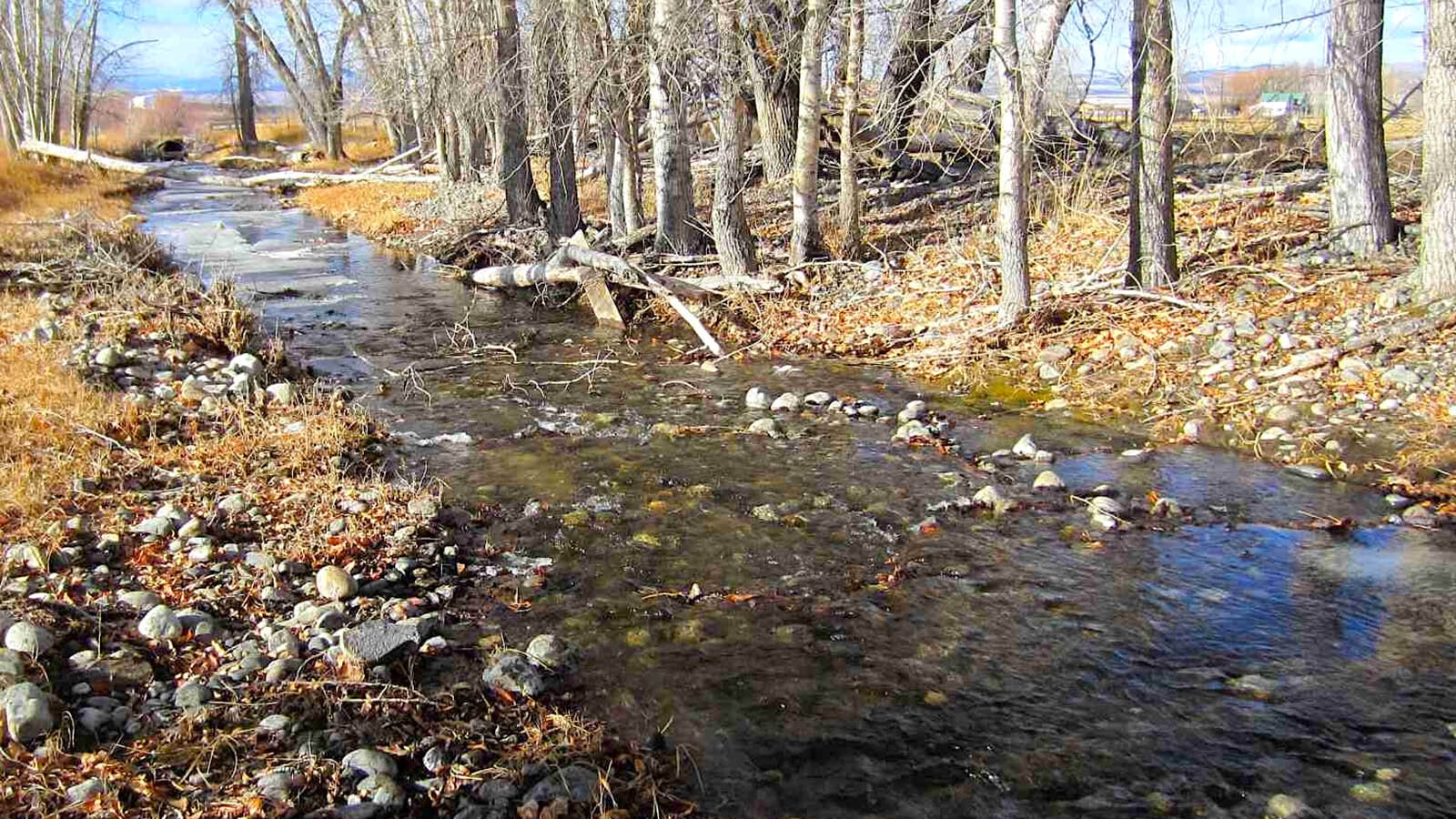 Indian Creek in December 2011, just upstream from Bill and Donna Fraser’s property. The following year, the Frasers noticed a big drop in streamflow and this December, there is no water flowing through the stretch of Indian Creek by their home.