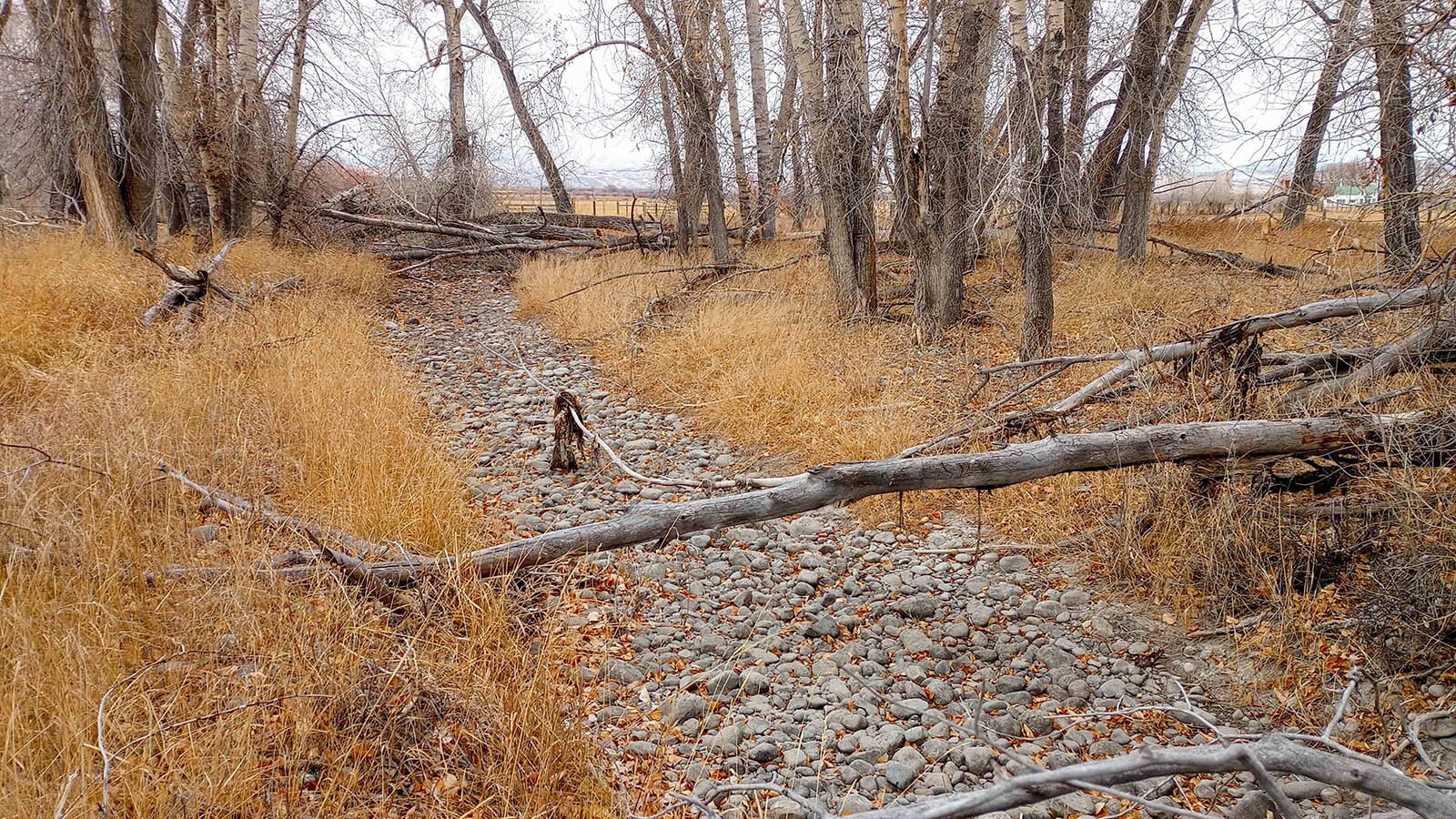 The empty streambed on Dec. 16, 2024.