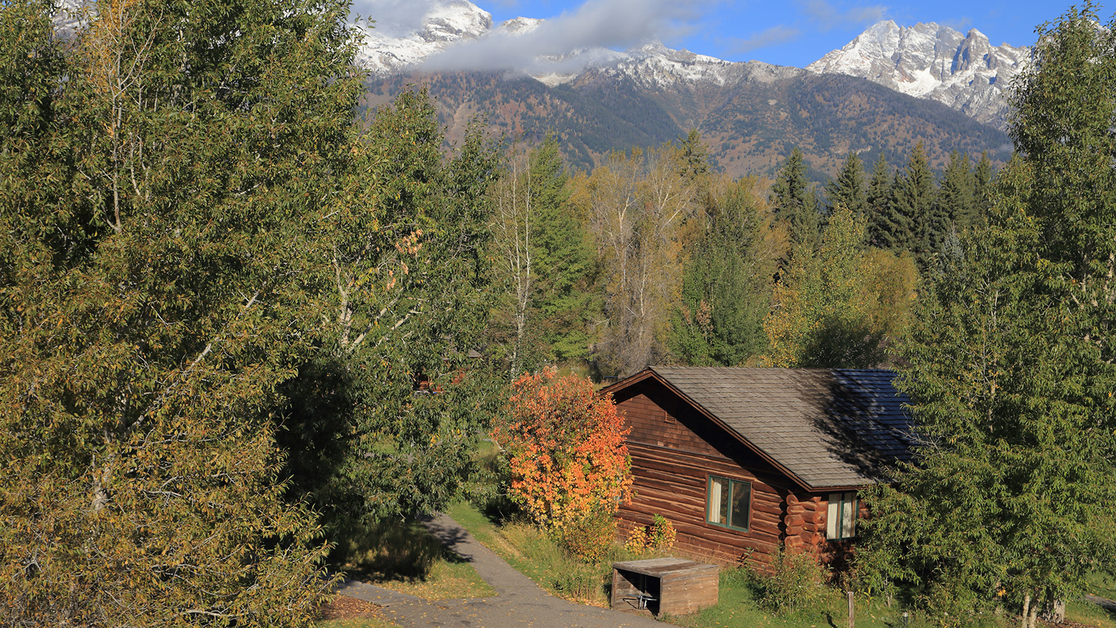 Cabin in the woods 10 19 23