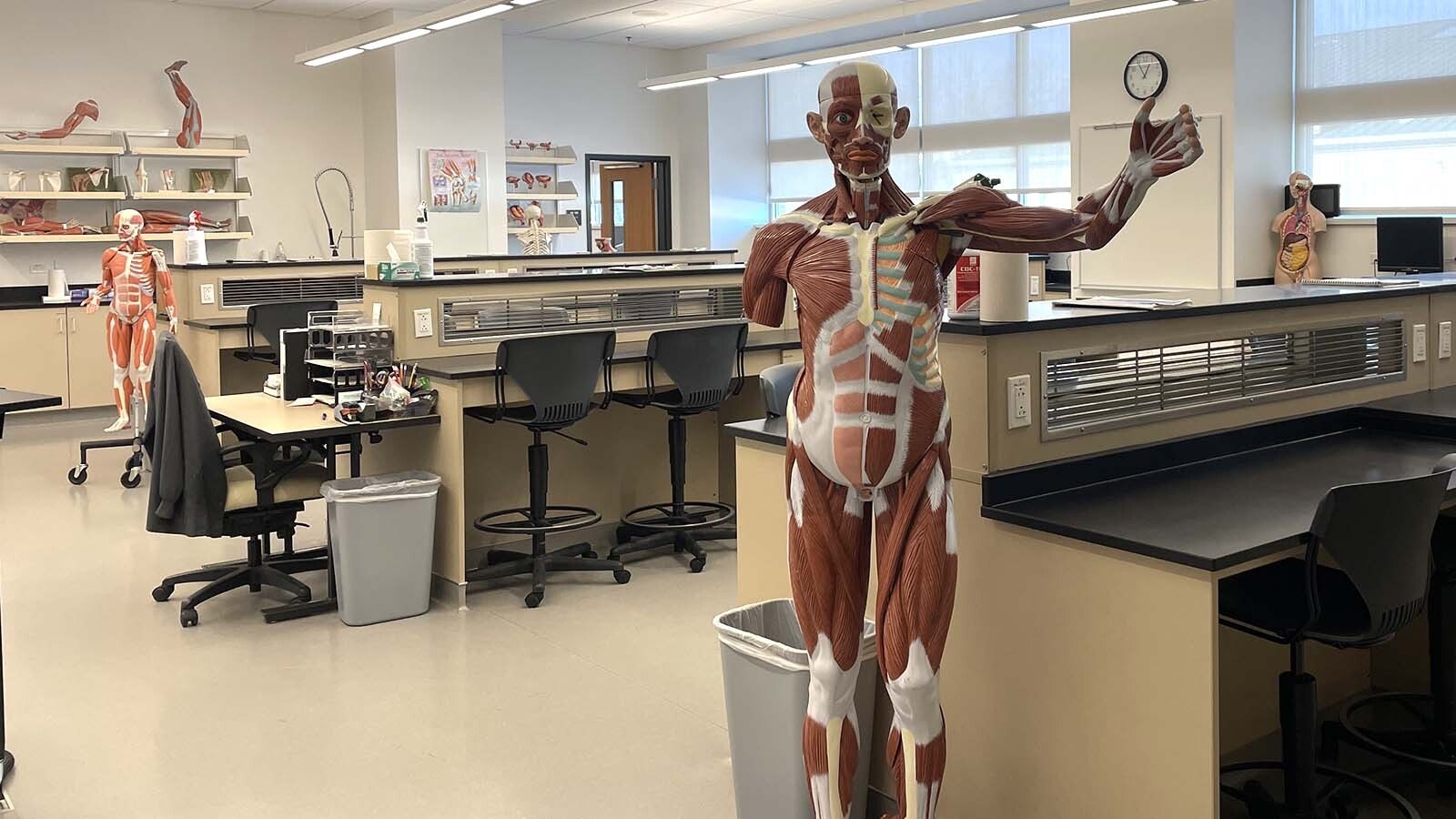 The Cadaver Lab at Central Wyoming College is where a select few students can dissect and learn on actual cadaver’s. It is the only community college in Wyoming that offers this opportunity. Nursing students who wish to participate in the Cadaver Lab must pass their anatomy class with an “A” and get instructor approval.