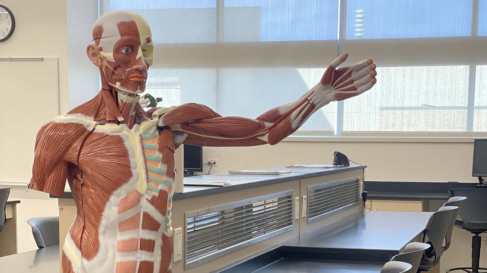 The Cadaver Lab at Central Wyoming College is where a select few students can dissect and learn on actual cadaver’s. It is the only community college in Wyoming that offers this opportunity. Nursing students who wish to participate in the Cadaver Lab must pass their anatomy class with an “A” and get instructor approval.