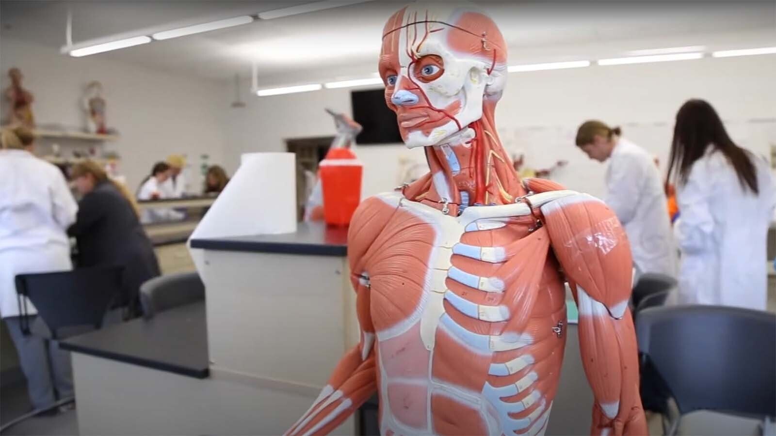 The Cadaver Lab at Central Wyoming College is where a select few students can dissect and learn on actual cadaver’s. It is the only community college in Wyoming that offers this opportunity. Nursing students who wish to participate in the Cadaver Lab must pass their anatomy class with an “A” and get instructor approval.