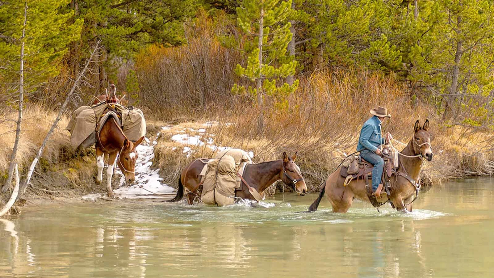 Cade Cole of Dubois used 1970s-style clothing, gear, and equipment for an elk hunt in the Wind River Mountains, in honor of his grandfather, Clifford Cole, and other hunters of that generation.