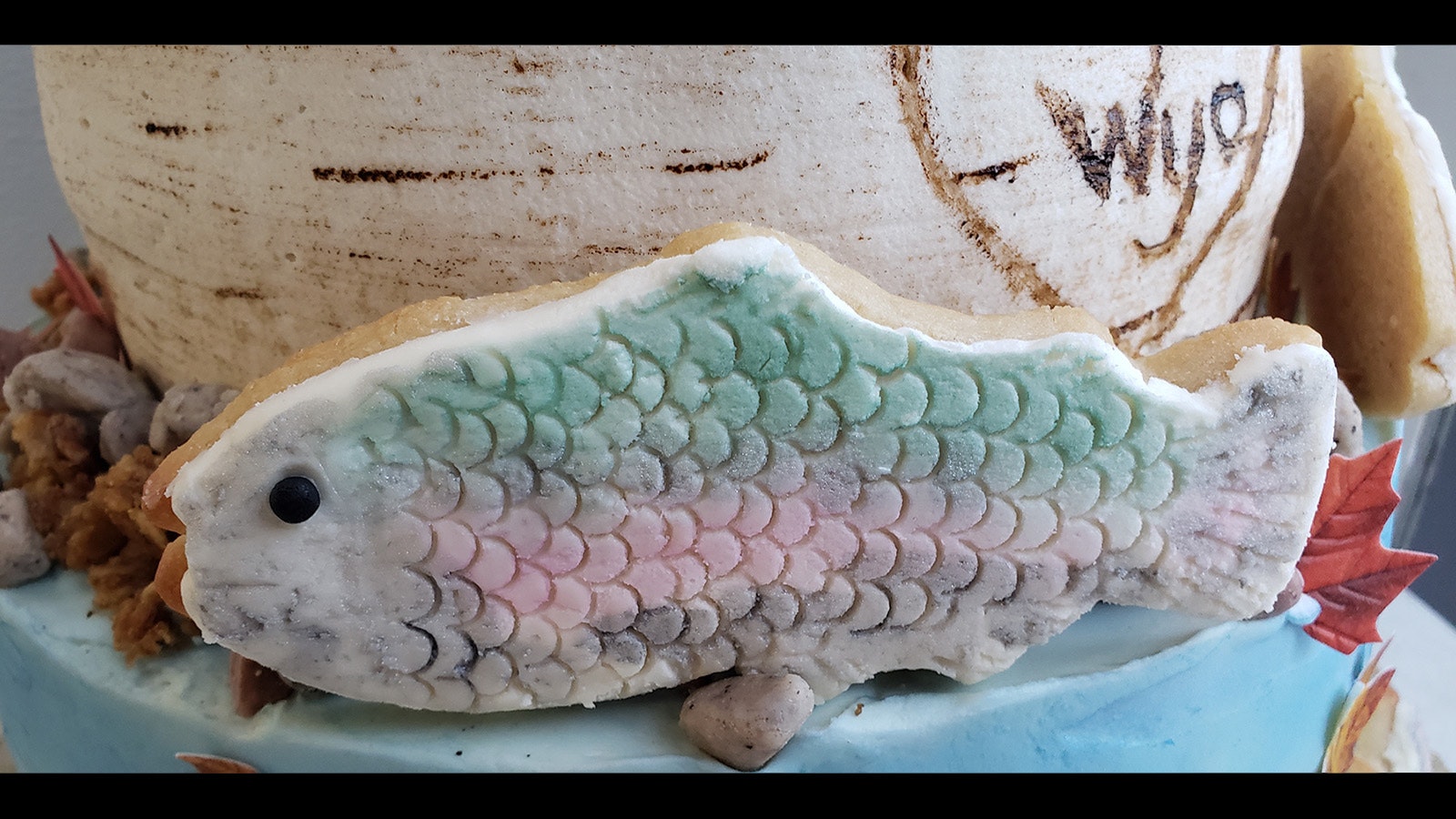 Sugar cookies were decorated to look like Wyoming trout.