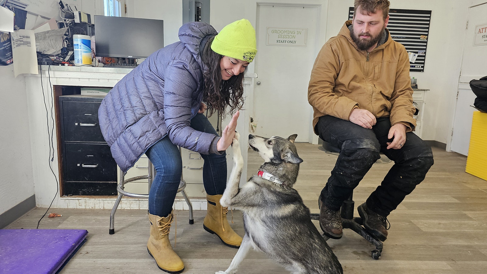 Abby Tarver gets a high five from Electra, her first sled dog, while Michael Traver looks on. The two own the Call of the Wyld dog sledding tour business in Jackson Hole.