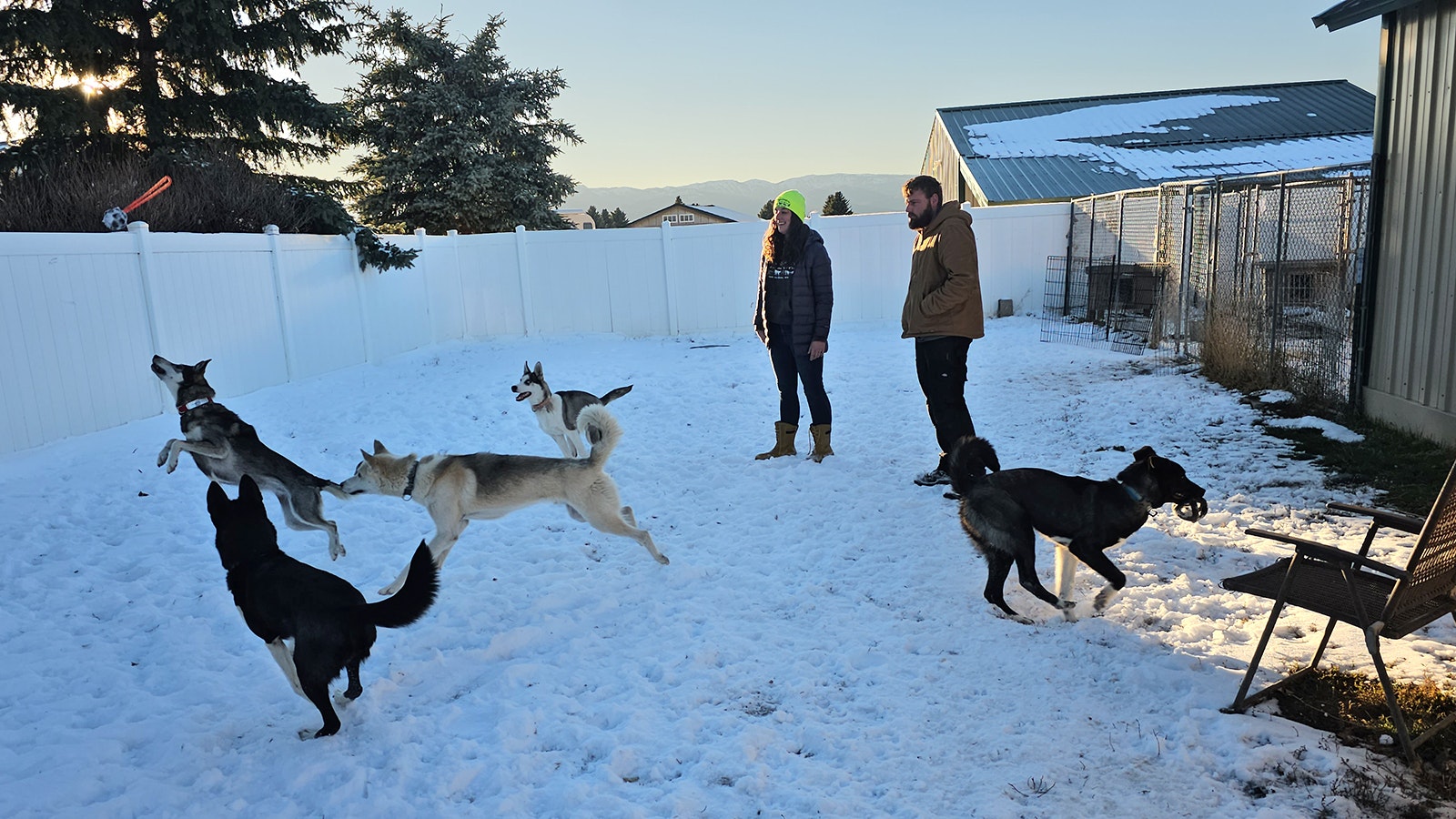 Abby and Michael Traver watch as their dogs careen and cavort in one of their kennel's play yards. The two own the Call of the Wyld dog sledding tour business in Jackson Hole.