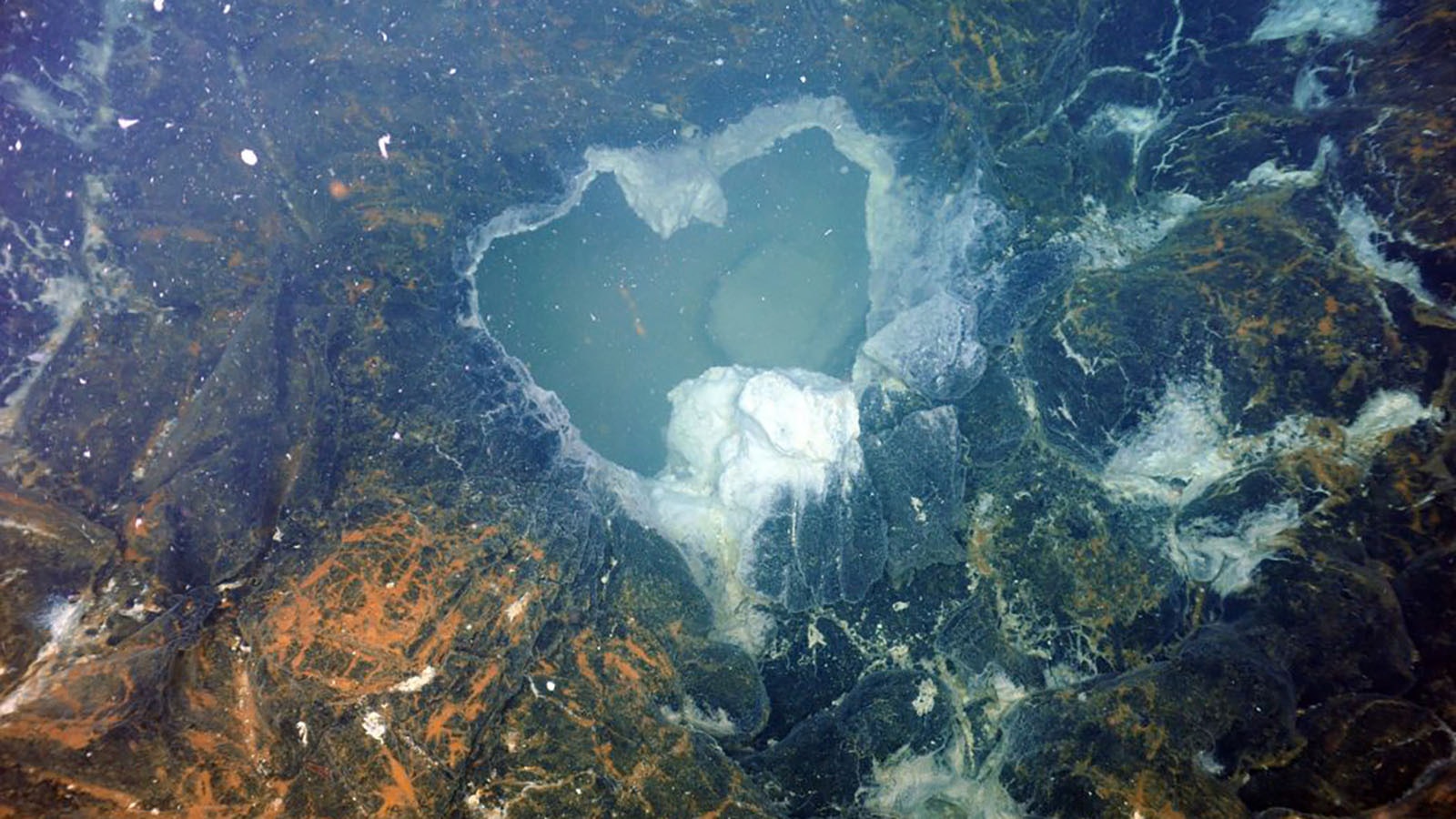 A vent in the Axial Seamount.