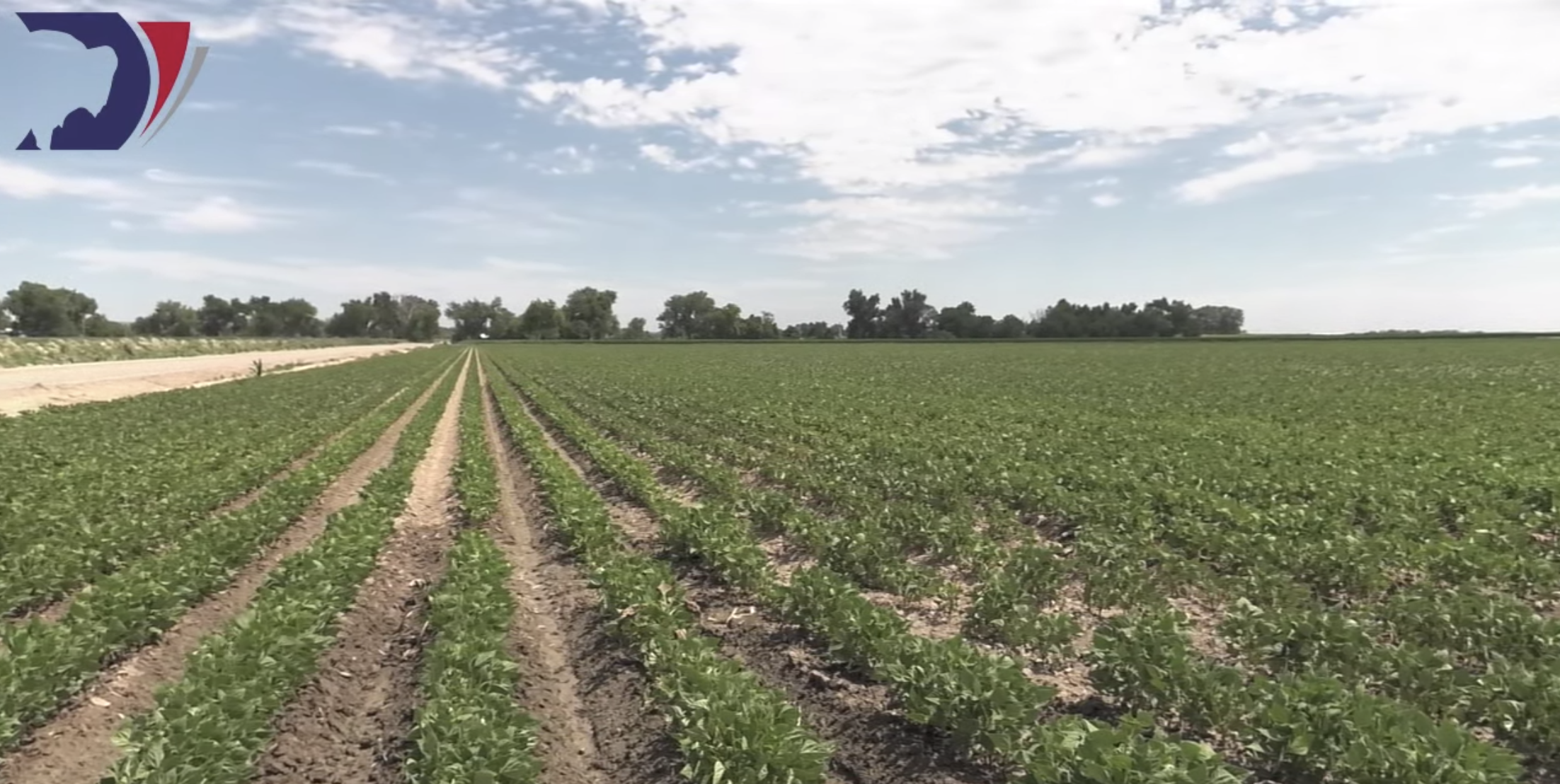 Canal collapse economic impact