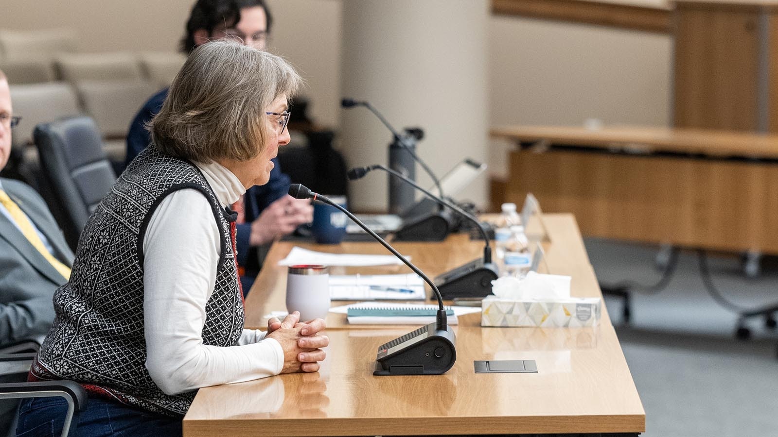 Kathy Russell speaks at the Wyoming State Canvassing Board Meeting to certify the results of the 2024 election at the Wyoming Capitol Auditorium in Cheyenne, Wyoming, on Nov. 13, 2024.