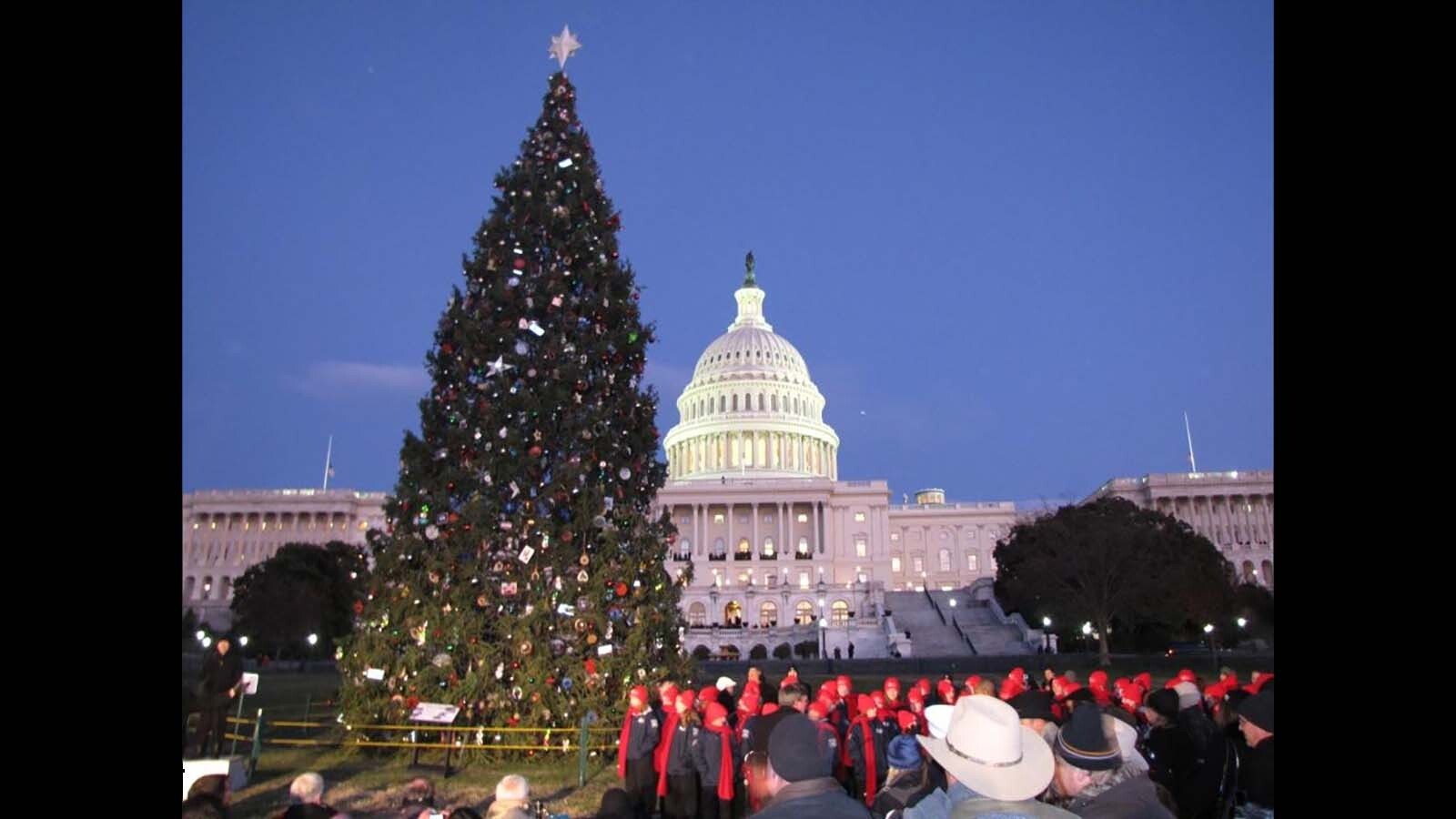 Capitol Christmas tree with the Cheyenne All City Childrens Choir in front in 2010.
