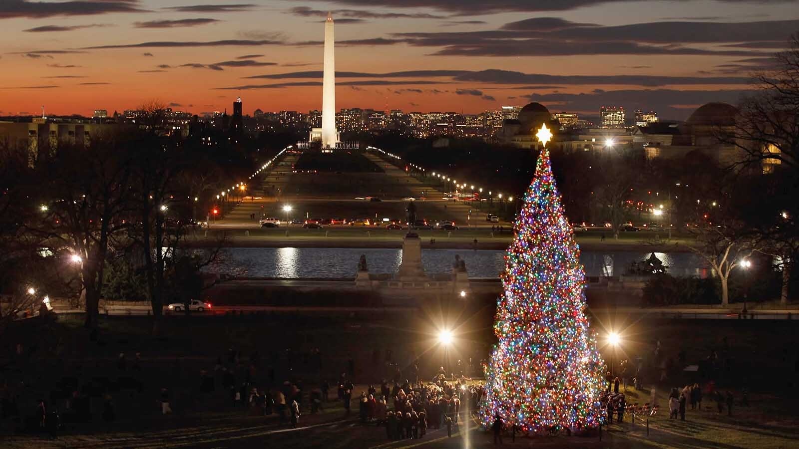 The nation's Christmas tree that lights up the U.S. Capitol ever year has come from Wyoming once. A 67-foot Engelmann spruce became the "People's Tree" in 2010, featuring thousands of LED lights and more than 5,000 ornaments from Wyomingites.