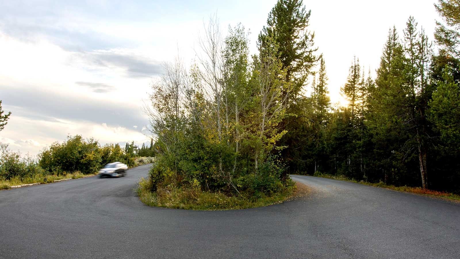 Four people were arrested Tuesday, accused of drag racing "multiple high-end luxury sports cars" in Grand Teton National Park. A Wyoming auto writer says that’s foolish, and wonders “what would happen to a Lamborghini if it hit a black bear?” In this file photo, a car drives fast on a hairpin turn on Signal Mountain in Grand Teton National Park.